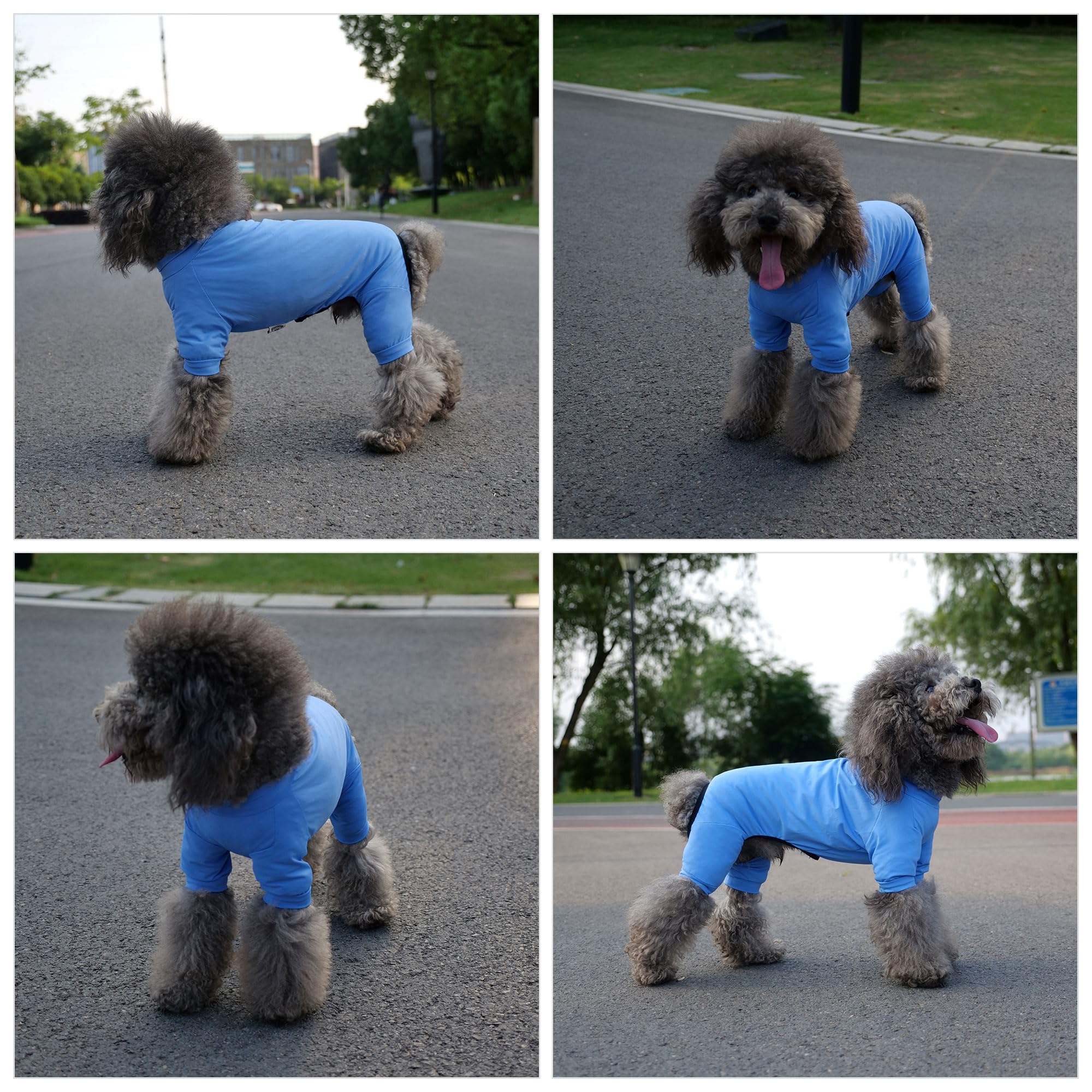 Lovelonglong Dog Jumpsuit With Uv Protection And Quick-Dry Fabric For Spring Summer Pet Pajamas Sea Blue L