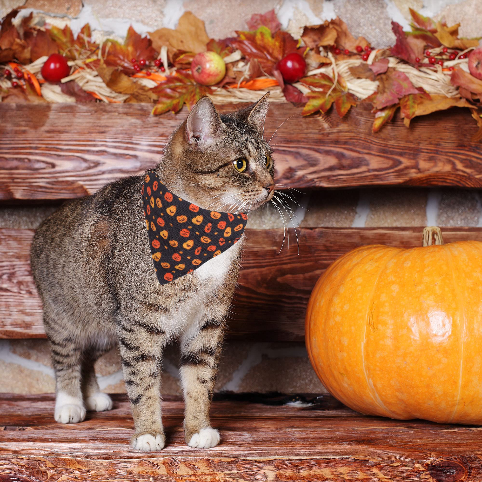 Adoggygo Halloween Cat Collars Breakaway With Bell, 2 Pack Adjustable Cat Collar With Removable Bandana, Pumpkin Pattern Cat Ban
