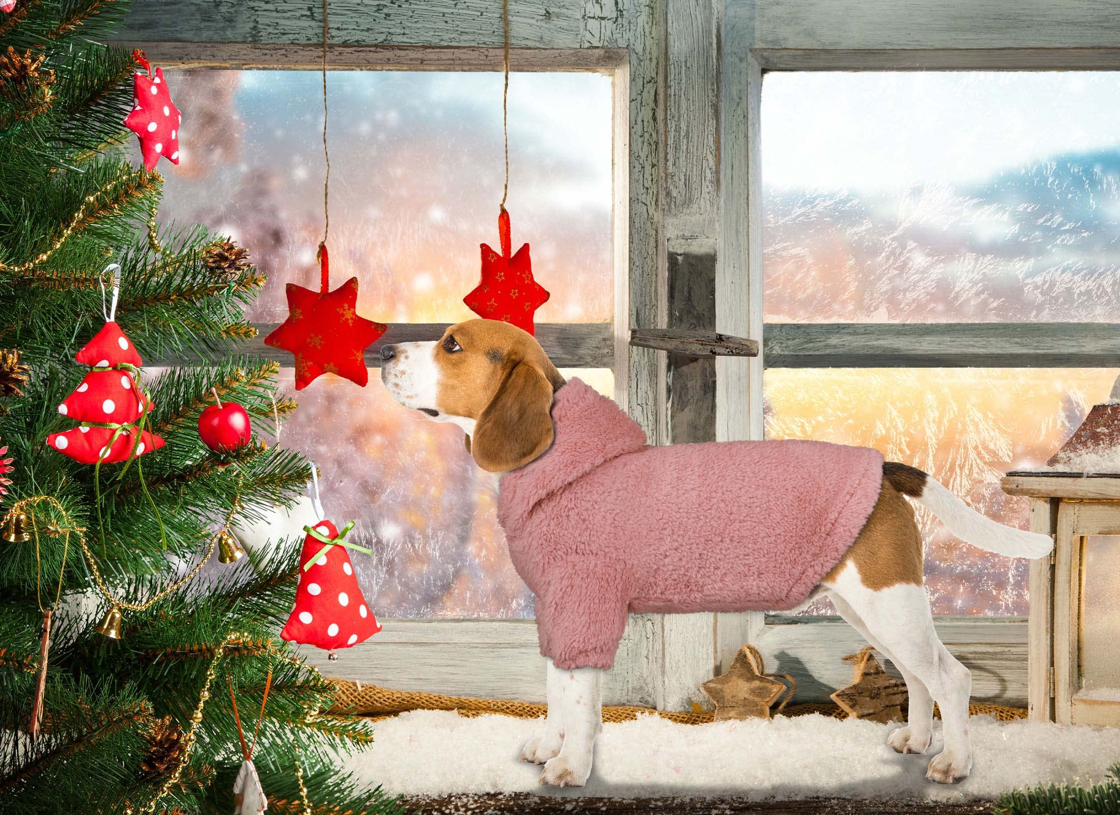 Fuzzy Dog Hoodie - Warm Soft Cozy Dog Coats - Medium Pink-M