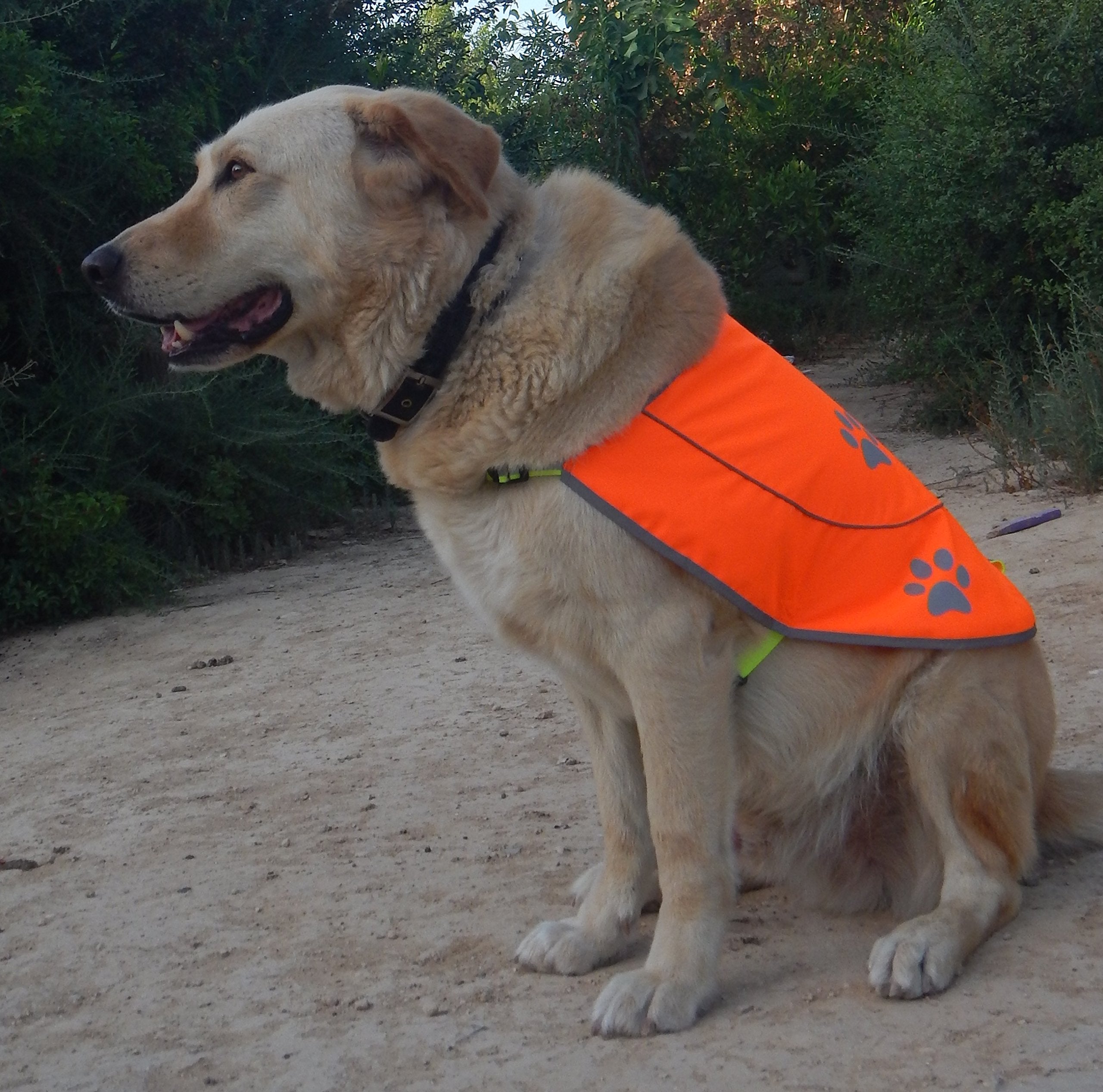 Funtone Colors Dog Hunting Vest Reflective Dog Vest - Dog Safety Vest With Elastic Strap, Comfortable Dog Reflective Vest, Reflective Dog Safety Jacket High Visibility Vest For Dogs - Orange X-Large