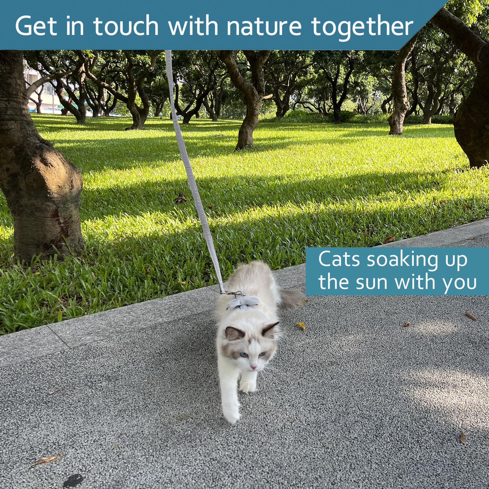 Cat Leash, Cat Harness Escape Proof Ddzmz Soft Mesh Breathable Adjustable Cat Vest Pets Harnesses For Walking Escape Proof Grey Color M Size For Pets Cats Kitten Puppy Rabbit Ferret (1-Pack)