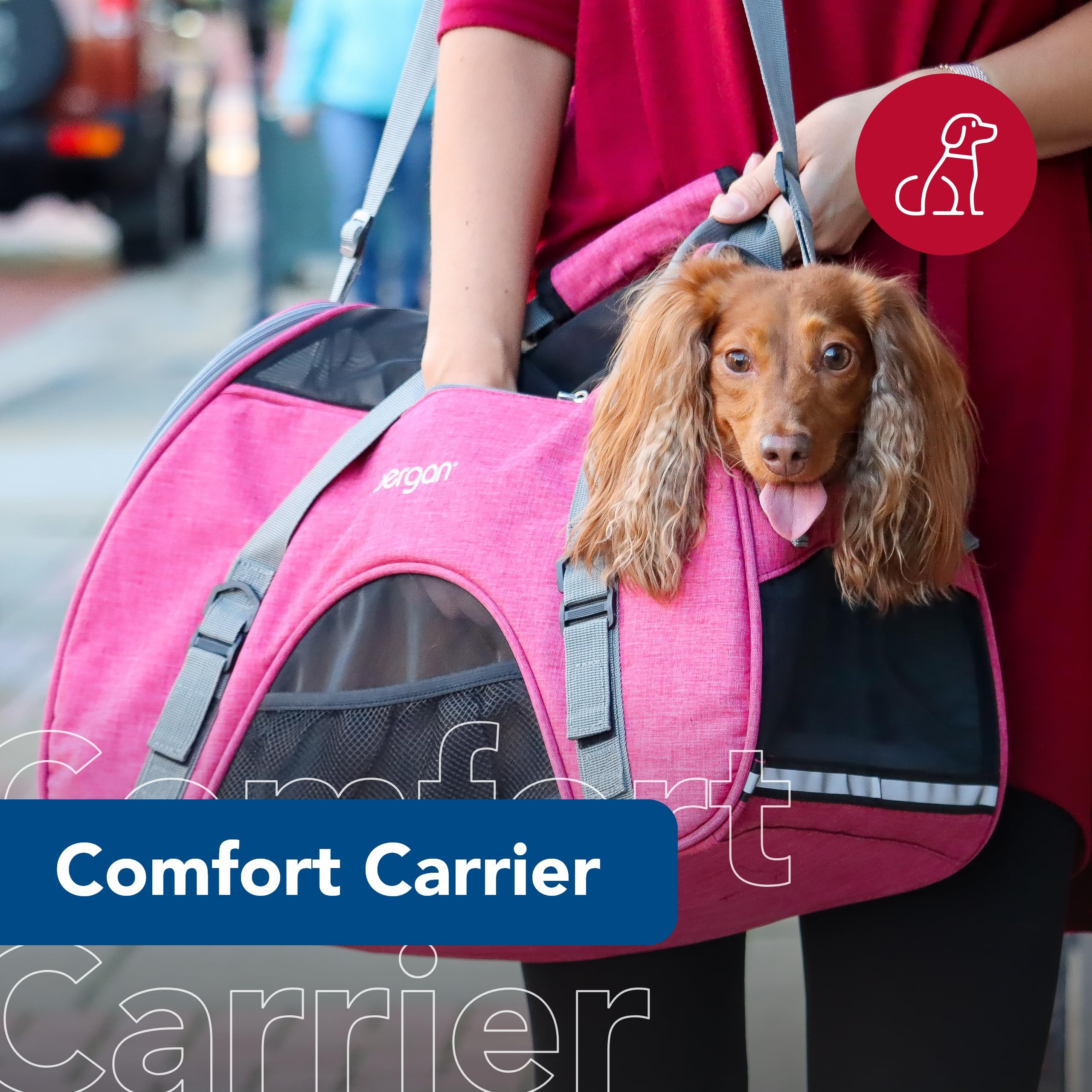 Coastal Pet Bergan Comfort Carrier - Safe And Comfortable For Dog & Cat Travel - Airline Friendly Soft And Breathable Carrier For Pet Owners - Heather Berry, 16' X 8' X 11'