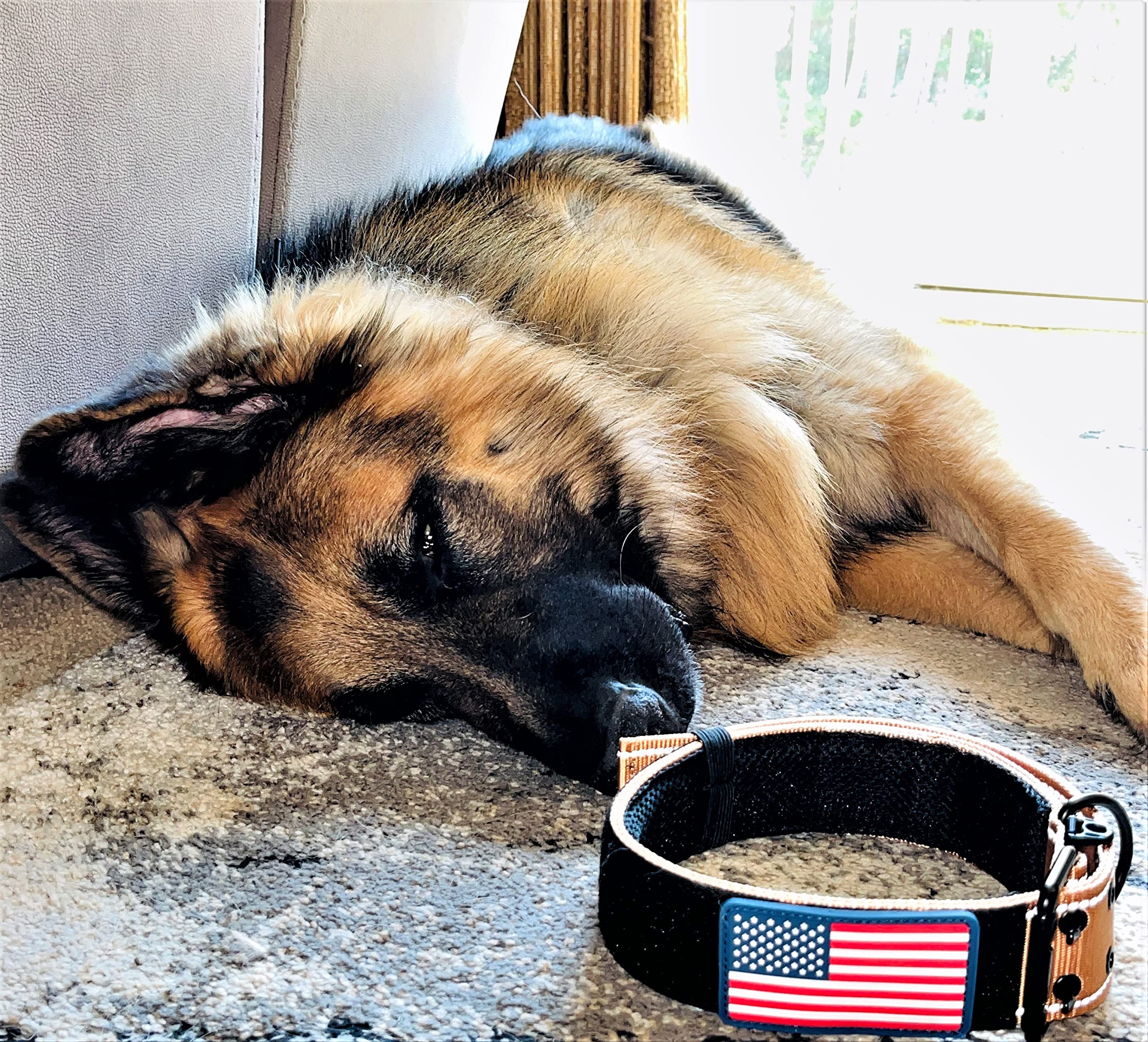 2 Personalized Tactical Dog Collar - Wide Thick Military Style with Strong Belt Buckle Closure - American Flag Patch - Reflectiv