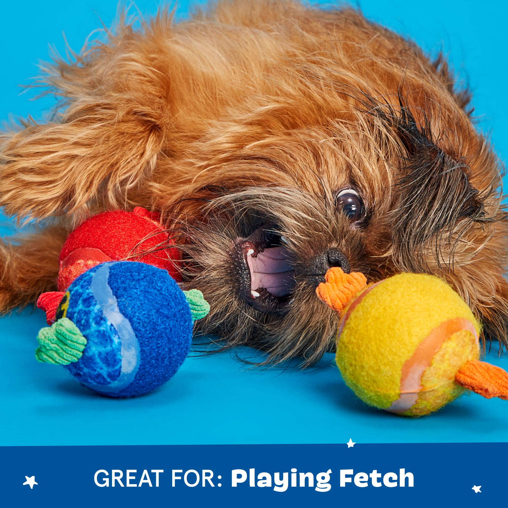 Barkbox Dog and Puppy Toy Guppies Trio of Tennis Balls for Tough Chewers, Fun Fetch and Perfect for Playful Pups, Durable, Engag