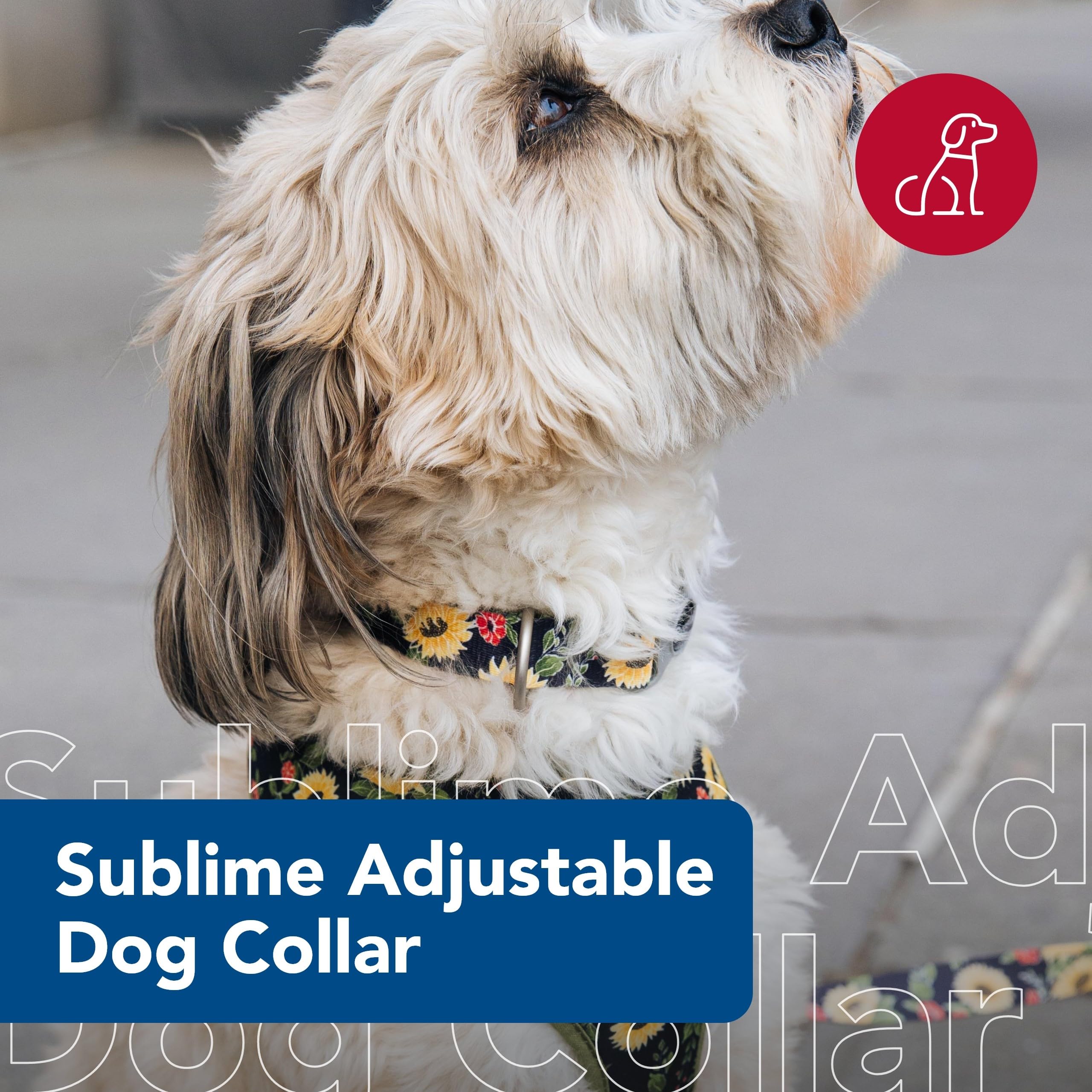 Coastal Pet Sublime Adjustable Dog Collar - Adjustable Plastic Buckle - Vibrant & Colorful Dog Collar With Fade-Resistant Patterns - Sunflower With Green Argyle, Medium - 1' X 12'-18'