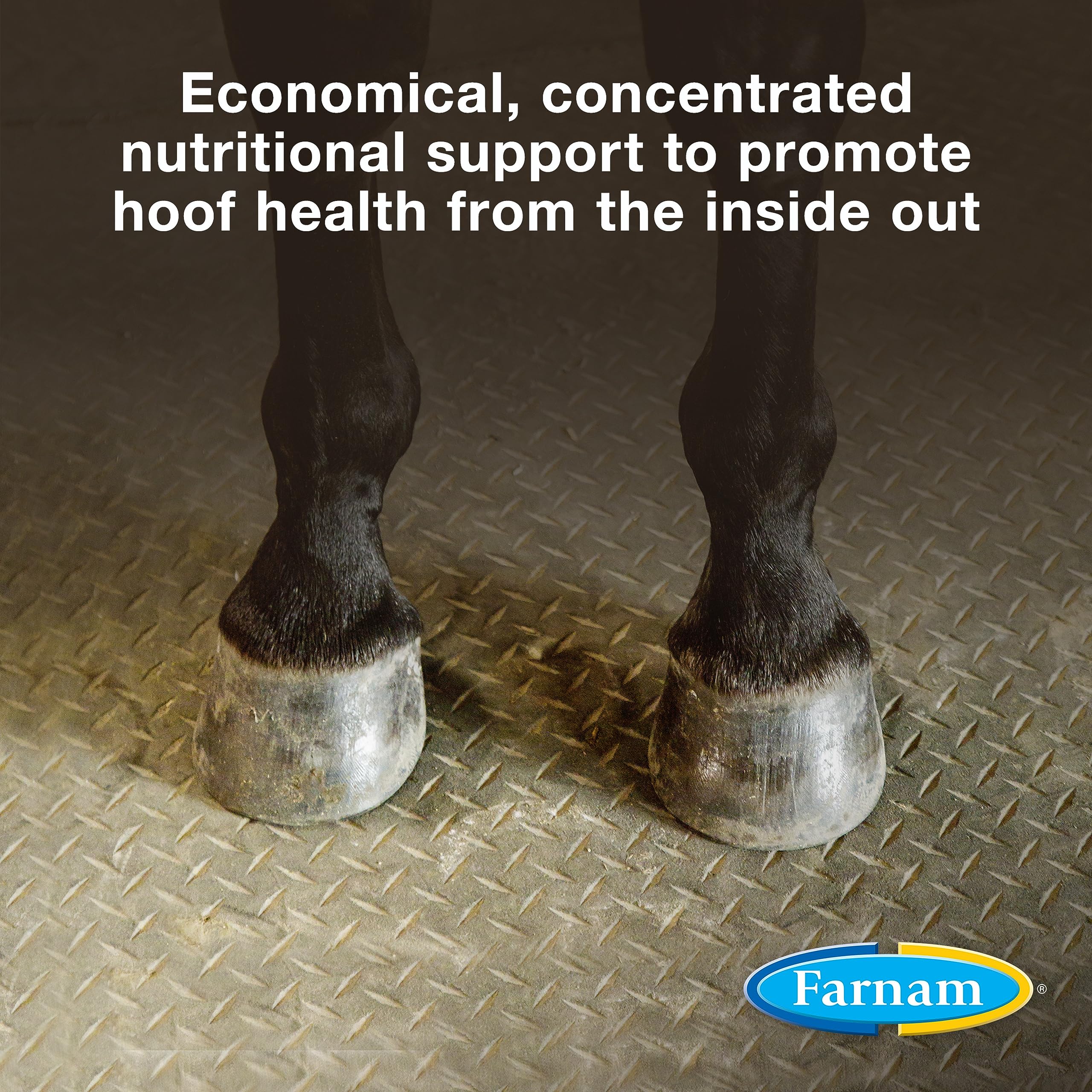 Farnam Horseshoers Secret Pelleted Hoof Supplements Concentrate, Economic formula with 25 mg. of biotin per 2 oz. serving, 3.75