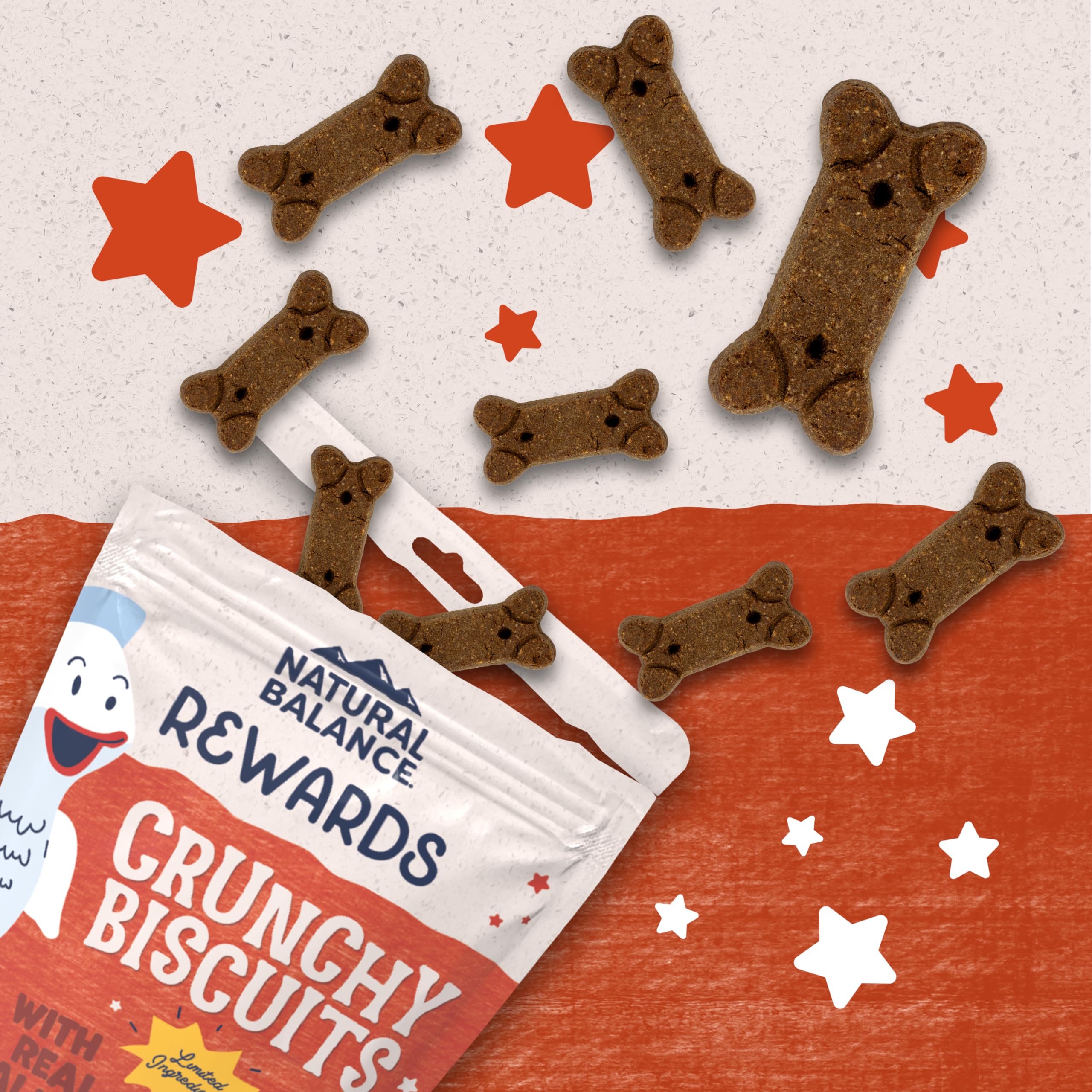 Natural Balance Limited Ingredient Rewards Crunchy Biscuits, Grain-Free Dog Treats for Adult Dogs of All Breeds, Salmon Recipe,