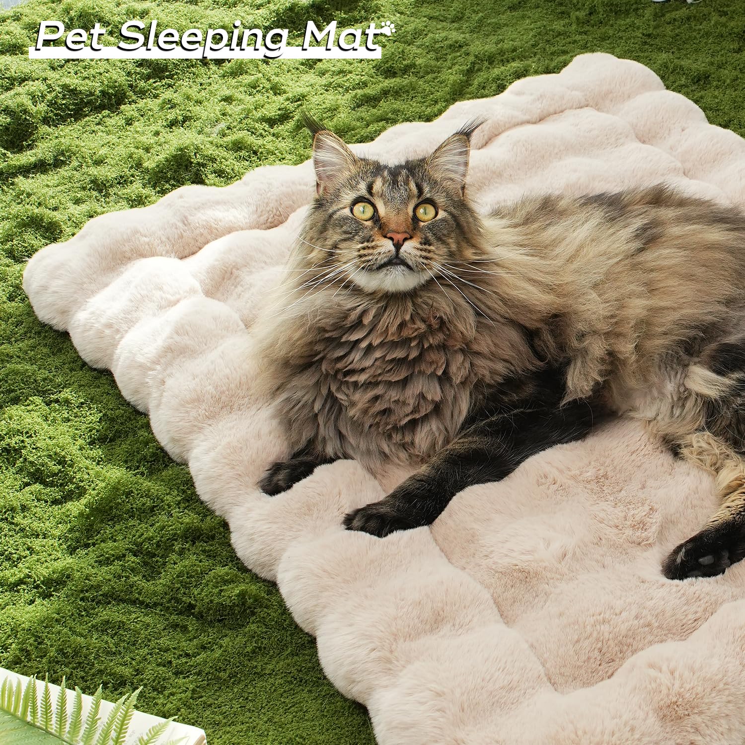 Somahe Plush Cat Beds For Indoor Cats Faux Fur Pet Mat With Non-Slip Bottom Cozy Kitten Bed For Carriers/Couch/Floor/Dog & Puppy