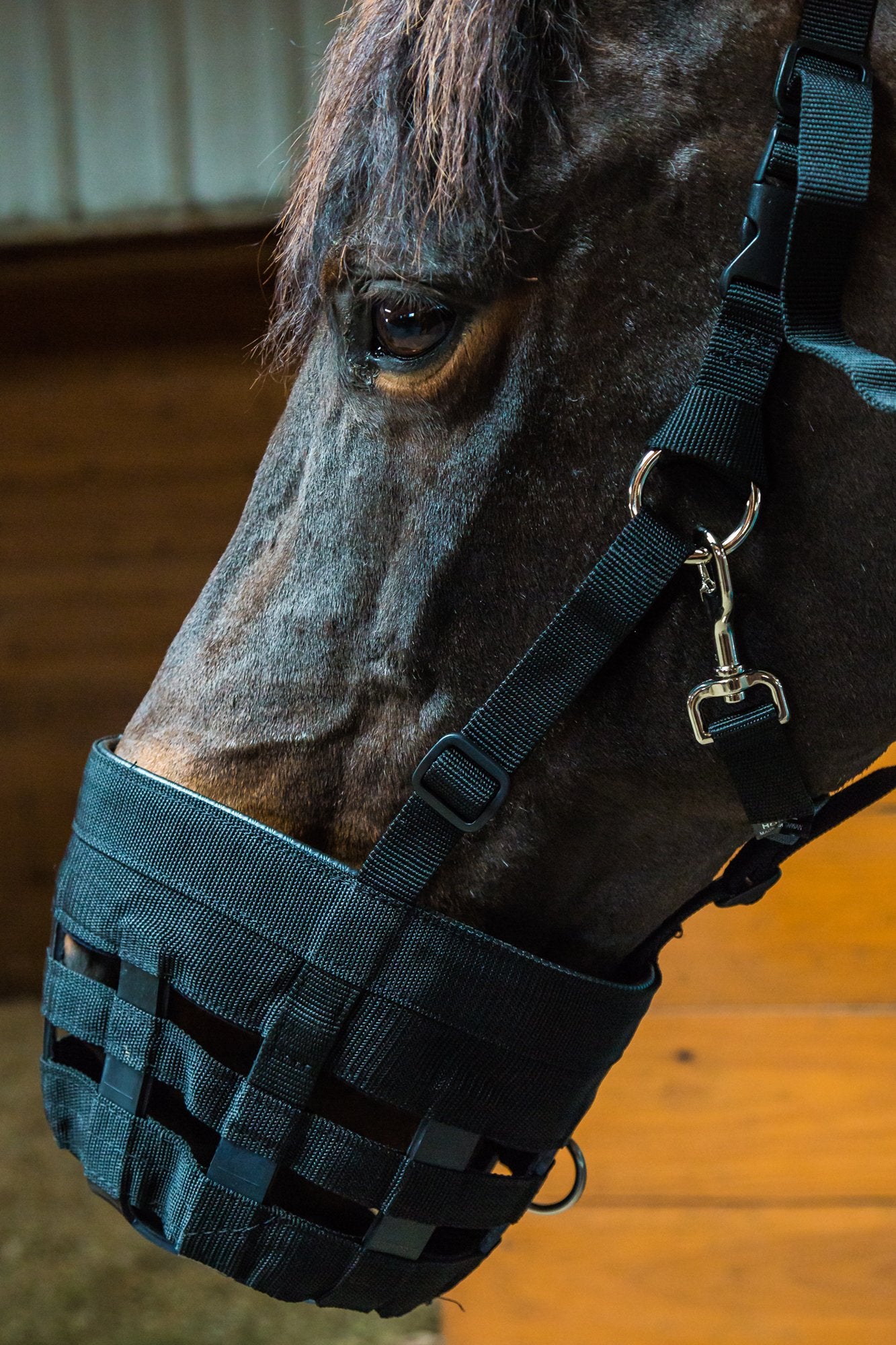 Best Friend Equine Supplies Muzzle Grazing Mini Blk
