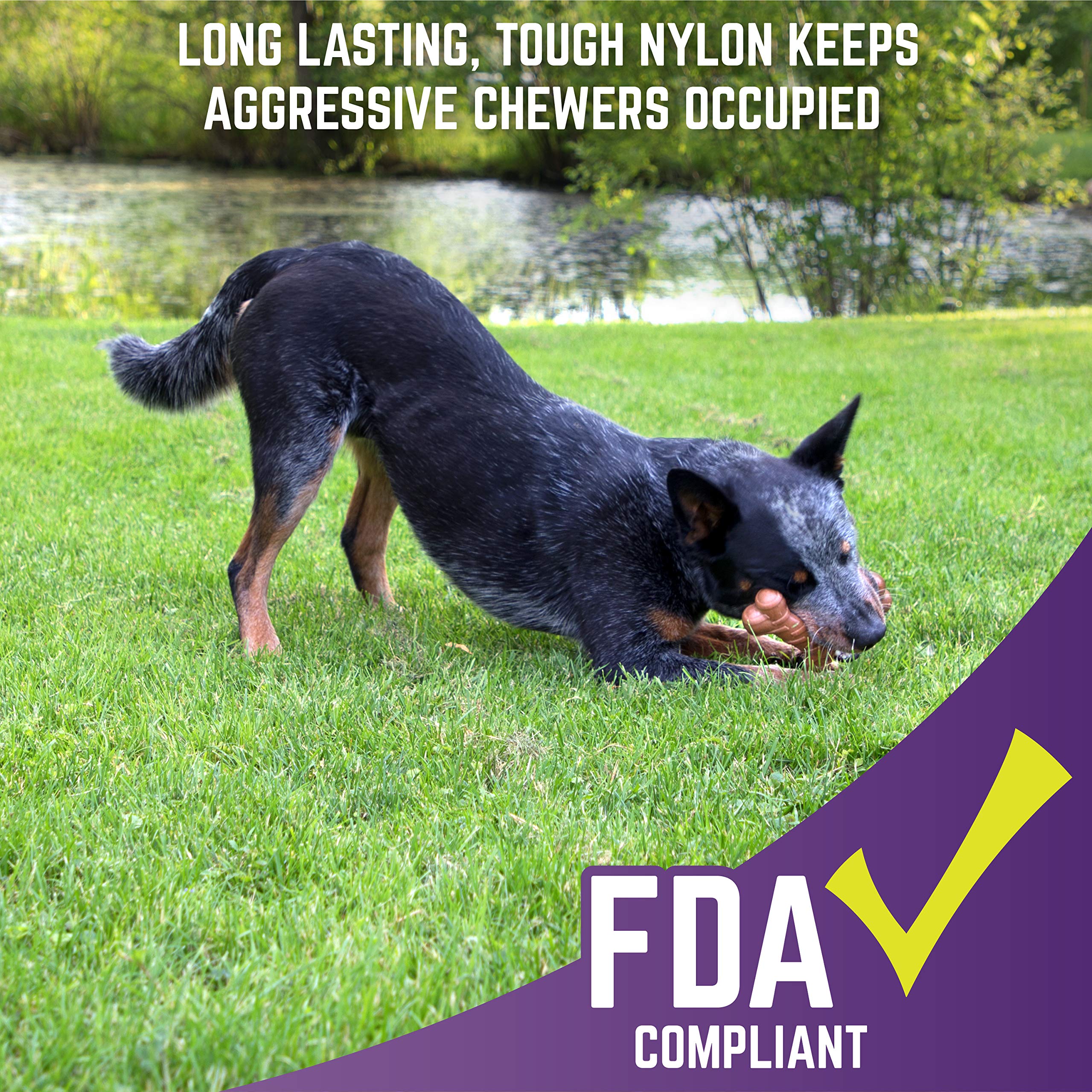 Chew King Dog Bacon Lovin’ Wishbone, Nylon Bones, Textured Bacon Flavored Chew Toy, For All Breed Sizes