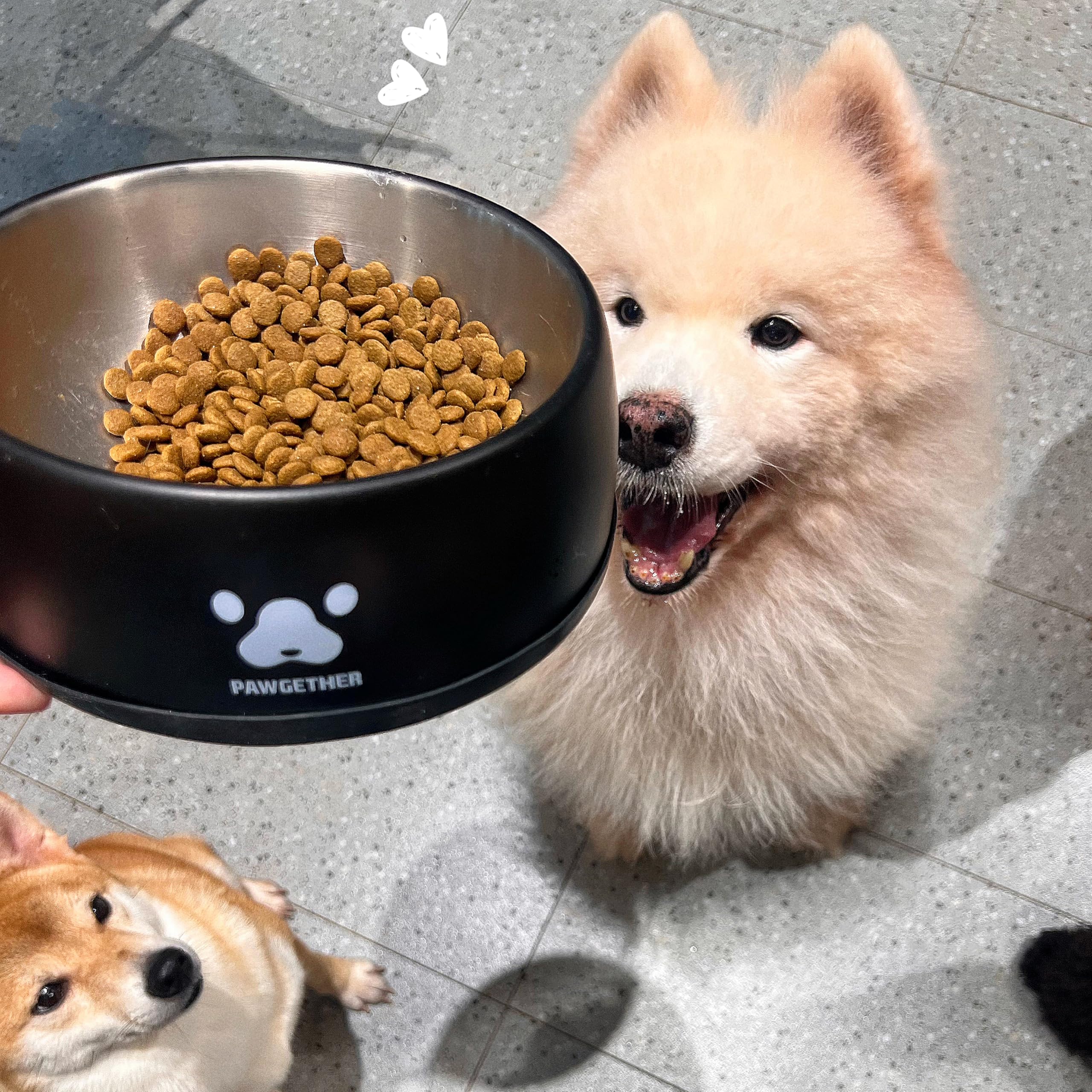 PAWGETHER Stainless Steel Dog Bowls, Dog Food and Water Bowl Non-Slip Easy to Clean Dishwasher Safe for Puppy Small Medium Dogs