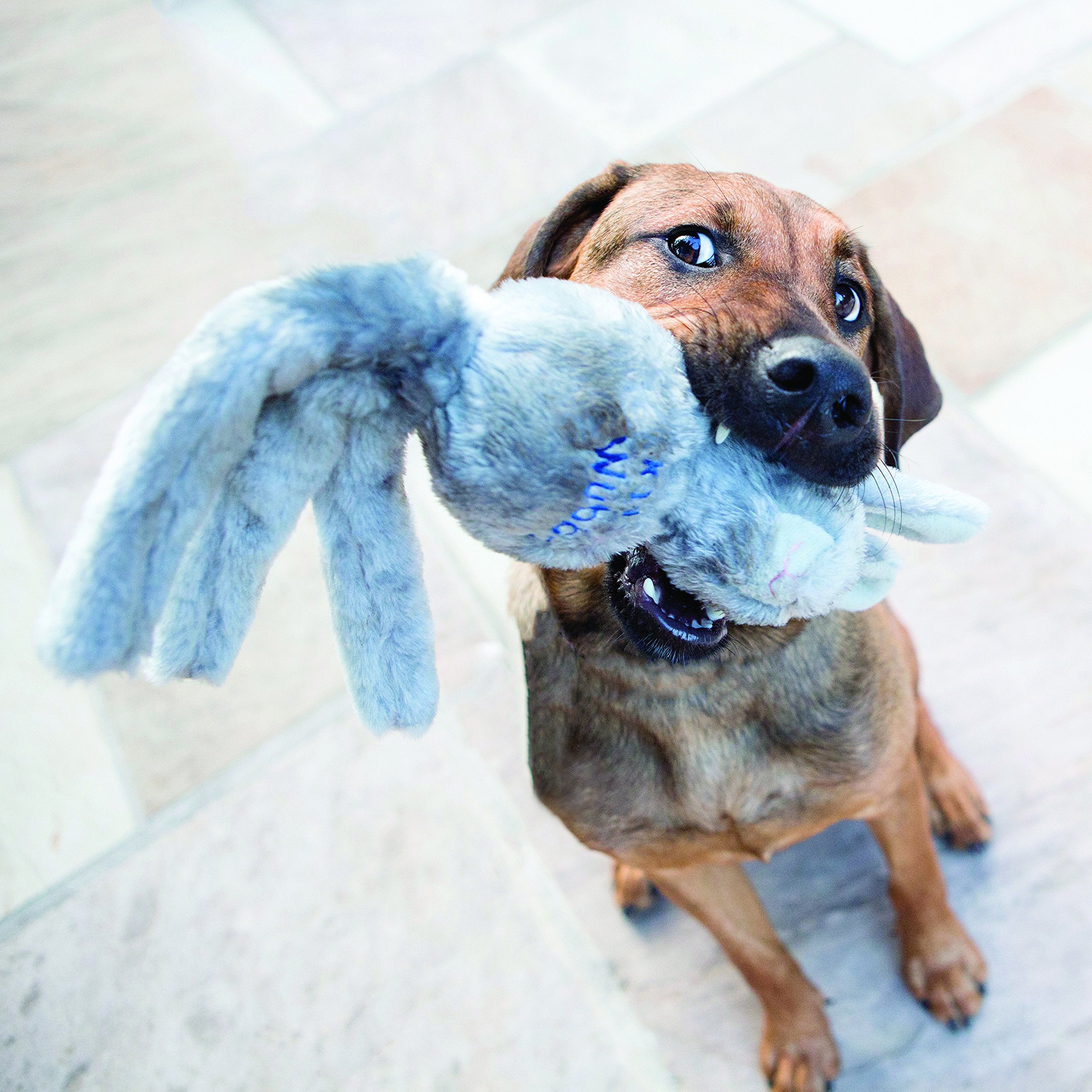 Kong Wubba Friend Dog Toy - Interactive Squeaky Plush With Tugging Tails For Fetch, Chew, And Play - Assorted Character - Fox, Bunny Or Bear (Extra Large)