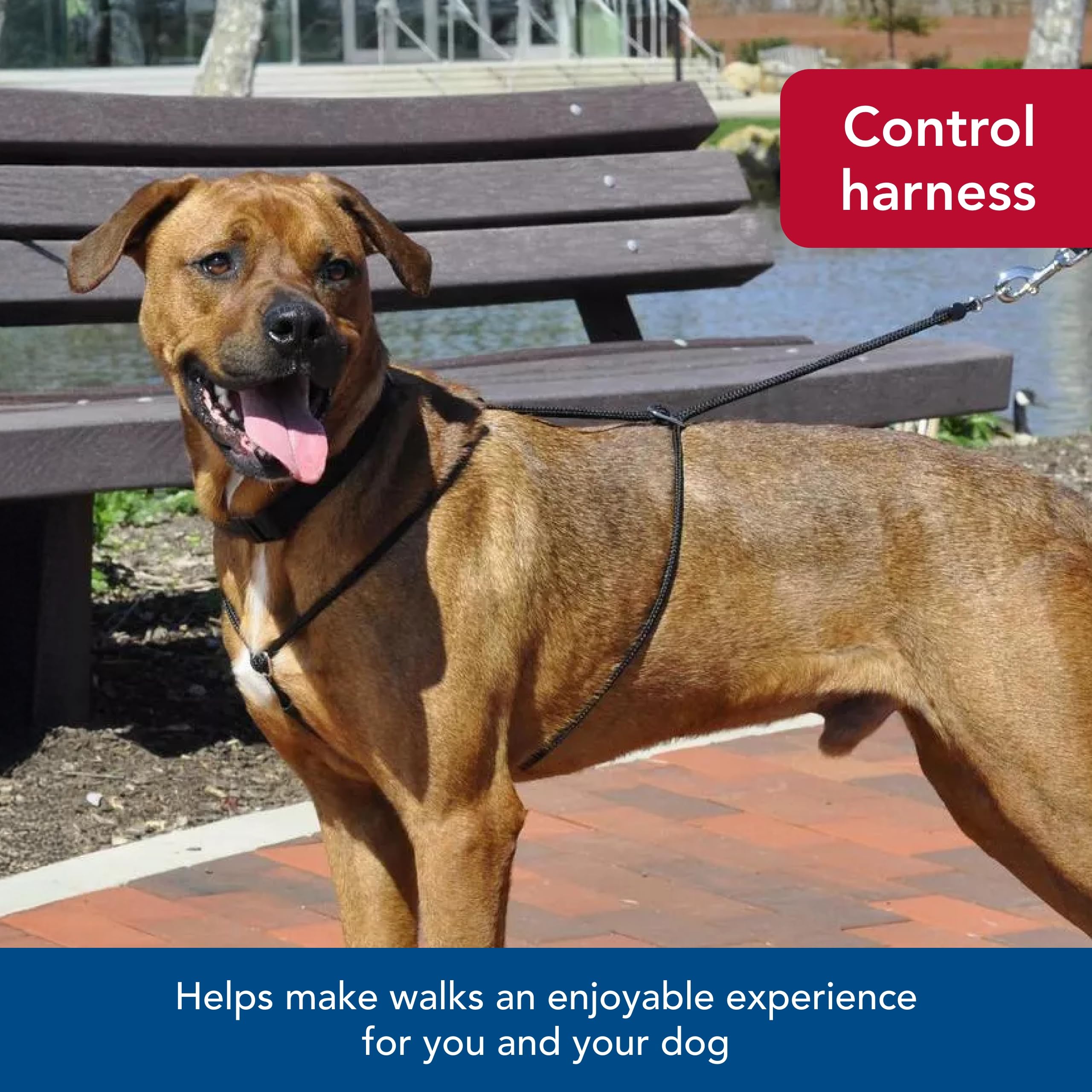 Coastal Pet Holt Adjustable Dog Control Harness - Big & Small Dog Harness - Walking Harness For Dogs - Instructions Included - Top-Grade Pet Supplies For Dogs - Black, Small (14')