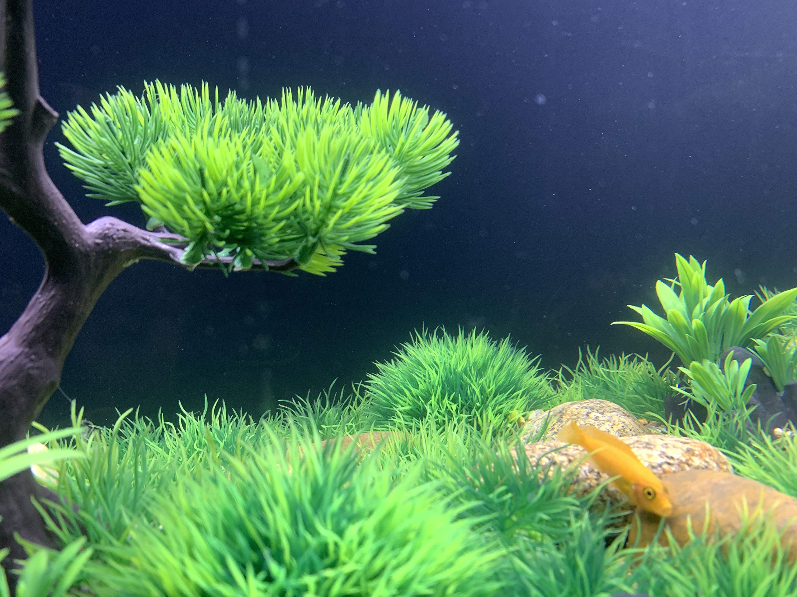 Begondis 40 Pcs Artificial Small Water Plants, Fish Tank Aquarium Grass Decorations, Made Of Soft Plastic