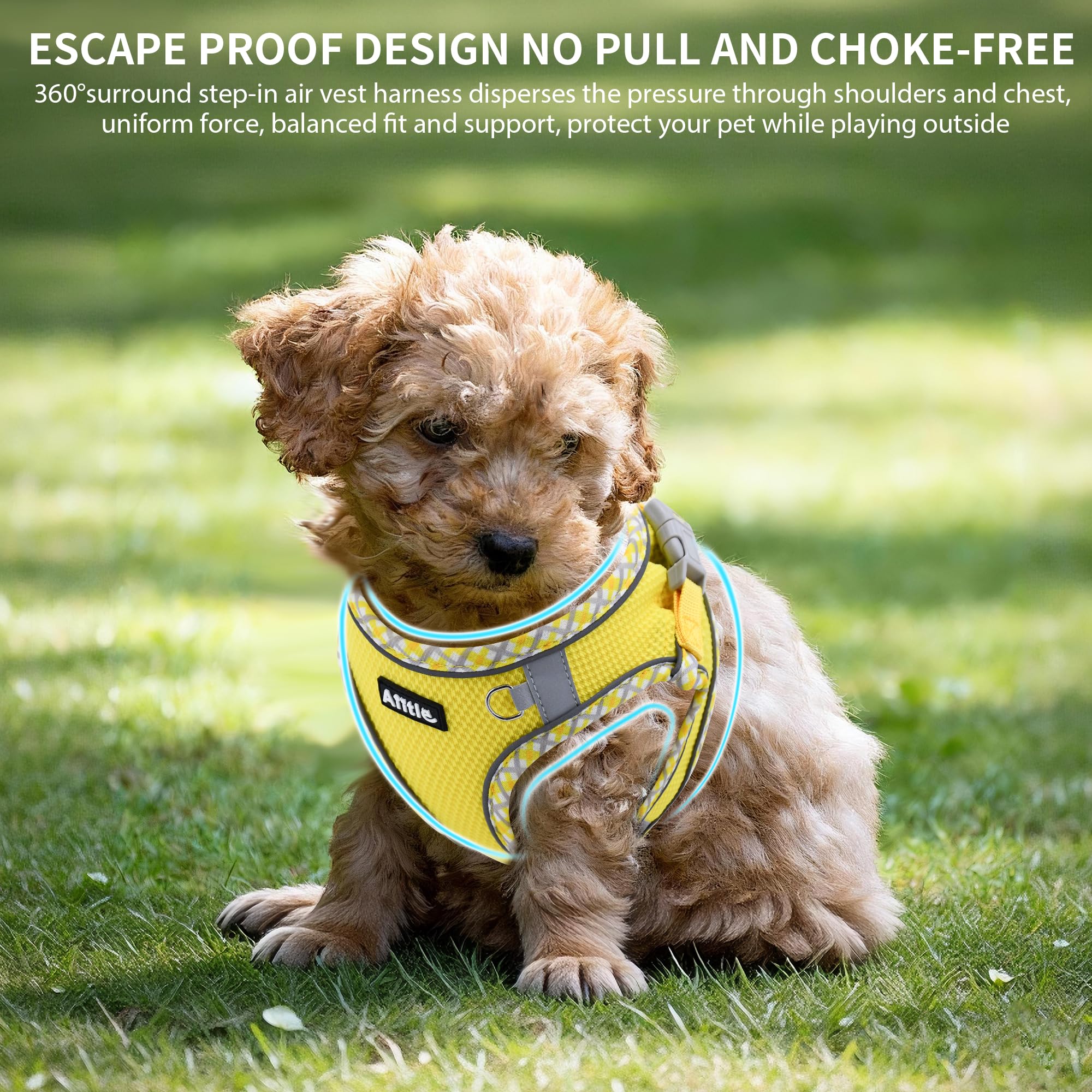 AIITLE Teacup Puppy Harness with Leash - Adjustable Soft Vest with Magic Magic Tape & Reflective Safety Strips, Easy-Put-On for