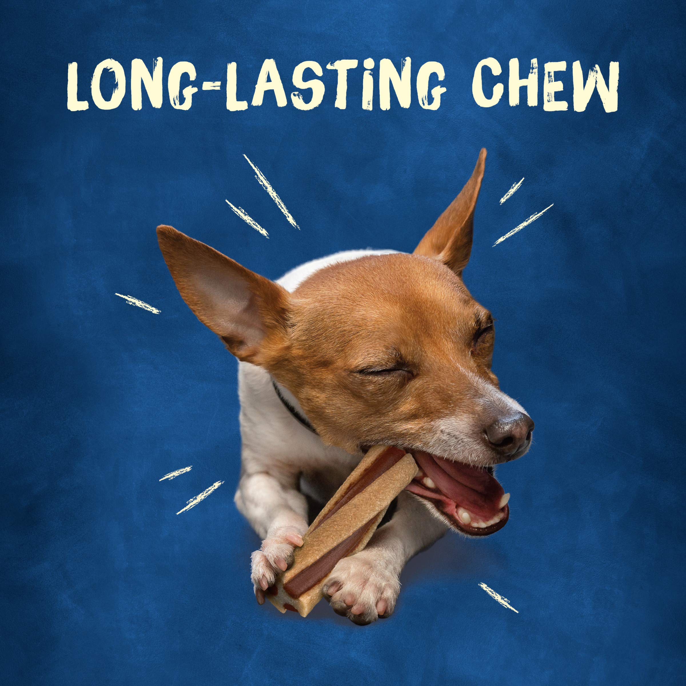 Purina Busy with Beggin Twistd Tiny Adult Dog Chew Bone Treats - (Pack of 6) 10 Ct. Pouches