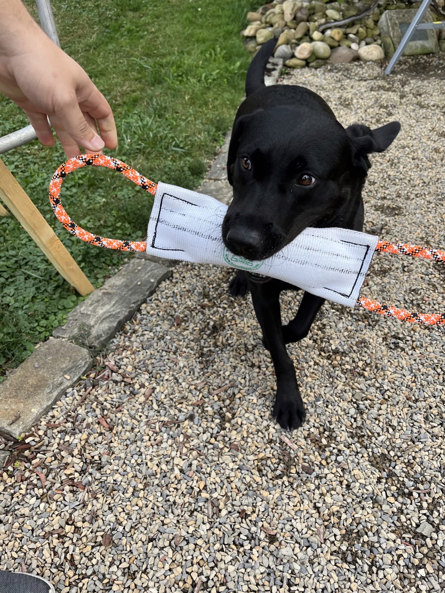 Rock-N-Rescue Hound Hose Pet Toy, Authentic Recycled Firehose and Durable Rescue Rope Dog Toys for Training and Play, Small,Colo