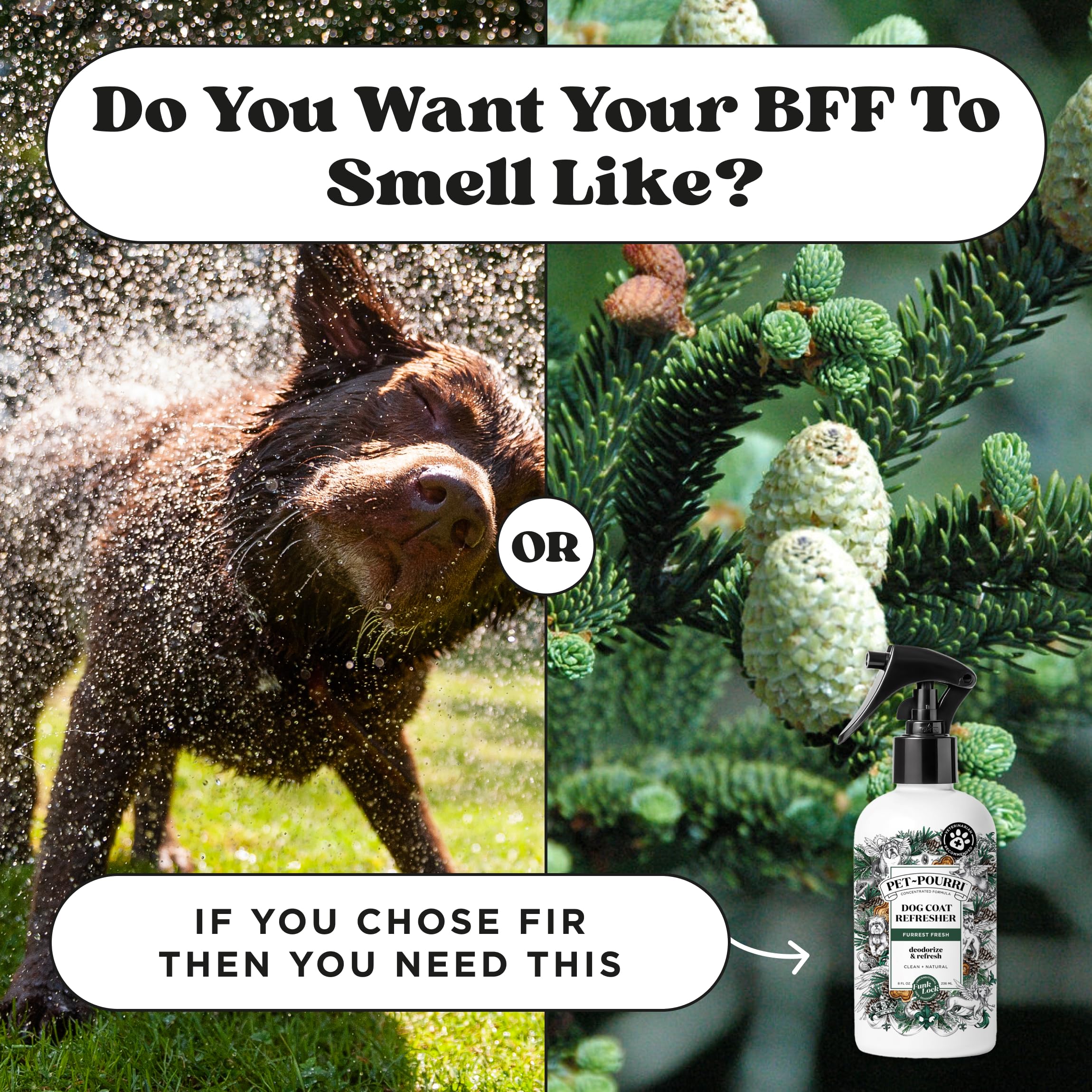 Pet-Pourri Dog Coat Deodorizing Spray - Plant Derived Ingredients - Vet Recommended - Fir + Amber + Cedarwood - Paraben & Sulfat