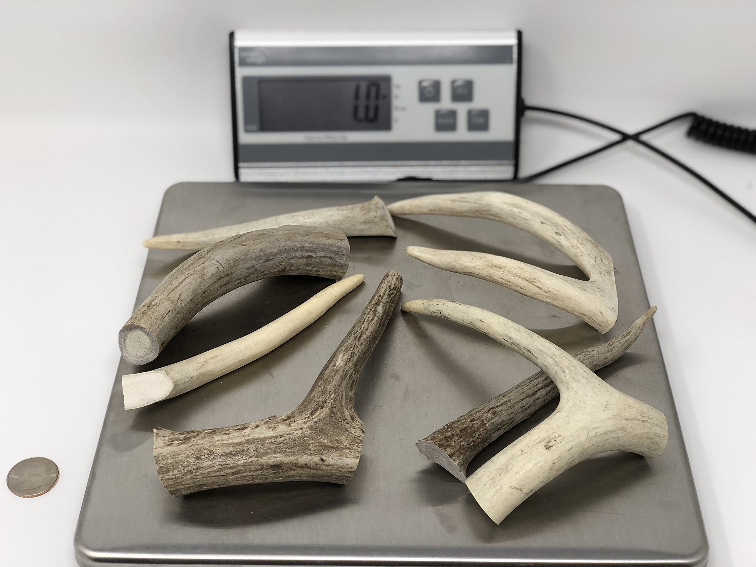 Natural Dakota Premium Deer Antler Dog Chew Toys (1 Lb Splits, Points, & Tines)