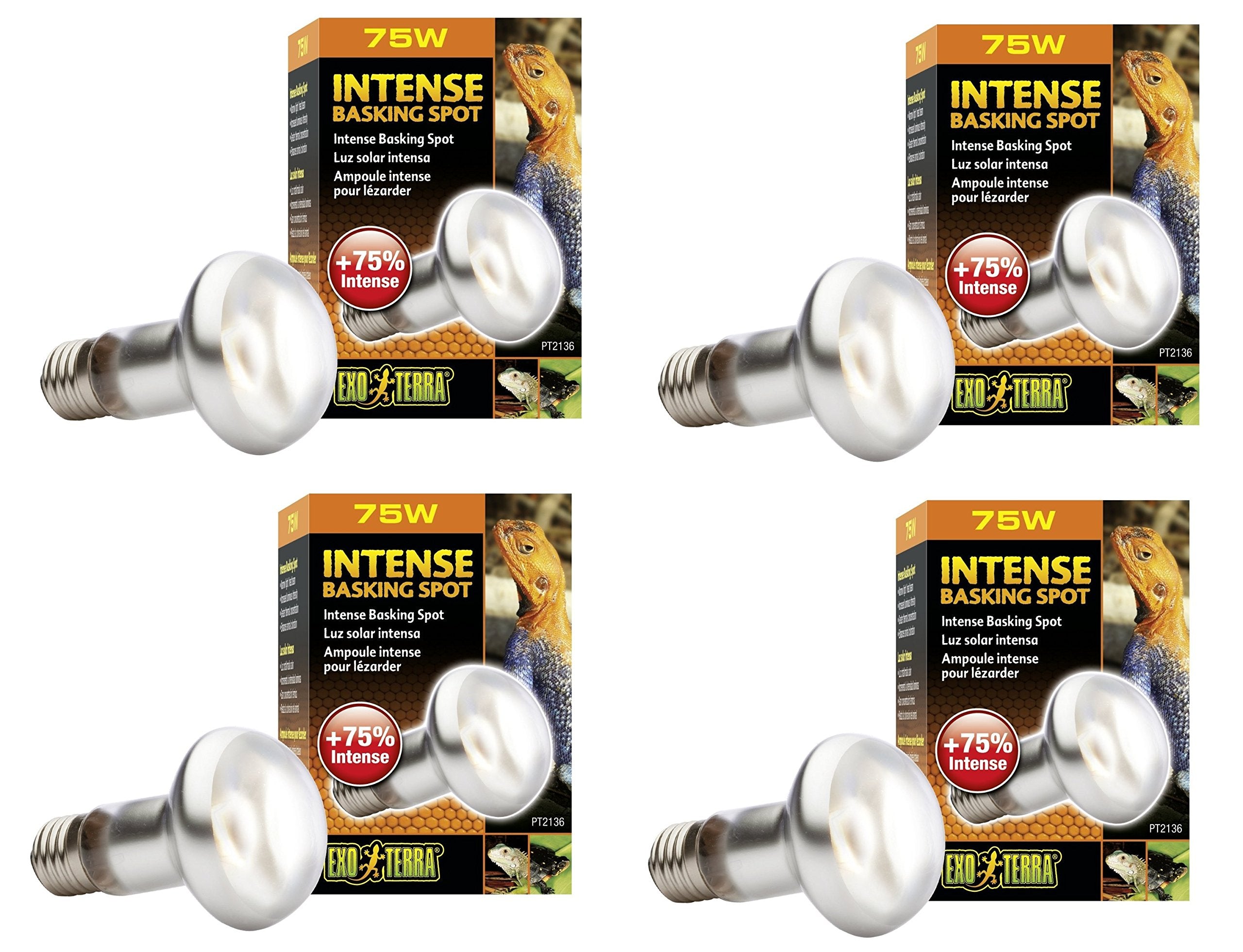 Exo Terra Sun-Glo Basking Infrared Spot Lamp, 75-Watt/120-Volt (4 Pack)