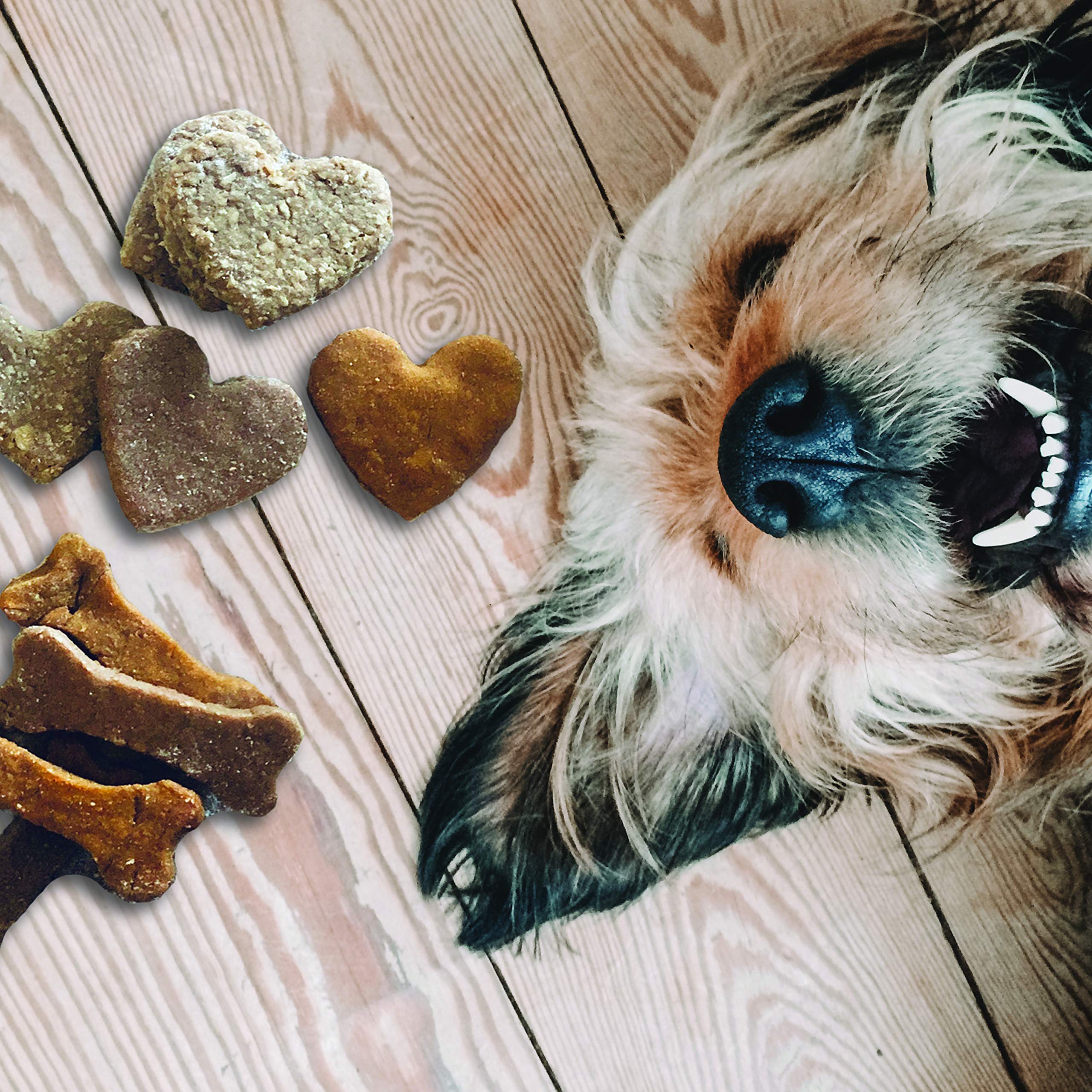 Hapinest Make Your Own Homemade Dog Treats Kit, Dog Treat Maker, Dog Cookie Cutters, 24 Gift Bags & Tags, Dog Biscuit Roller & 3