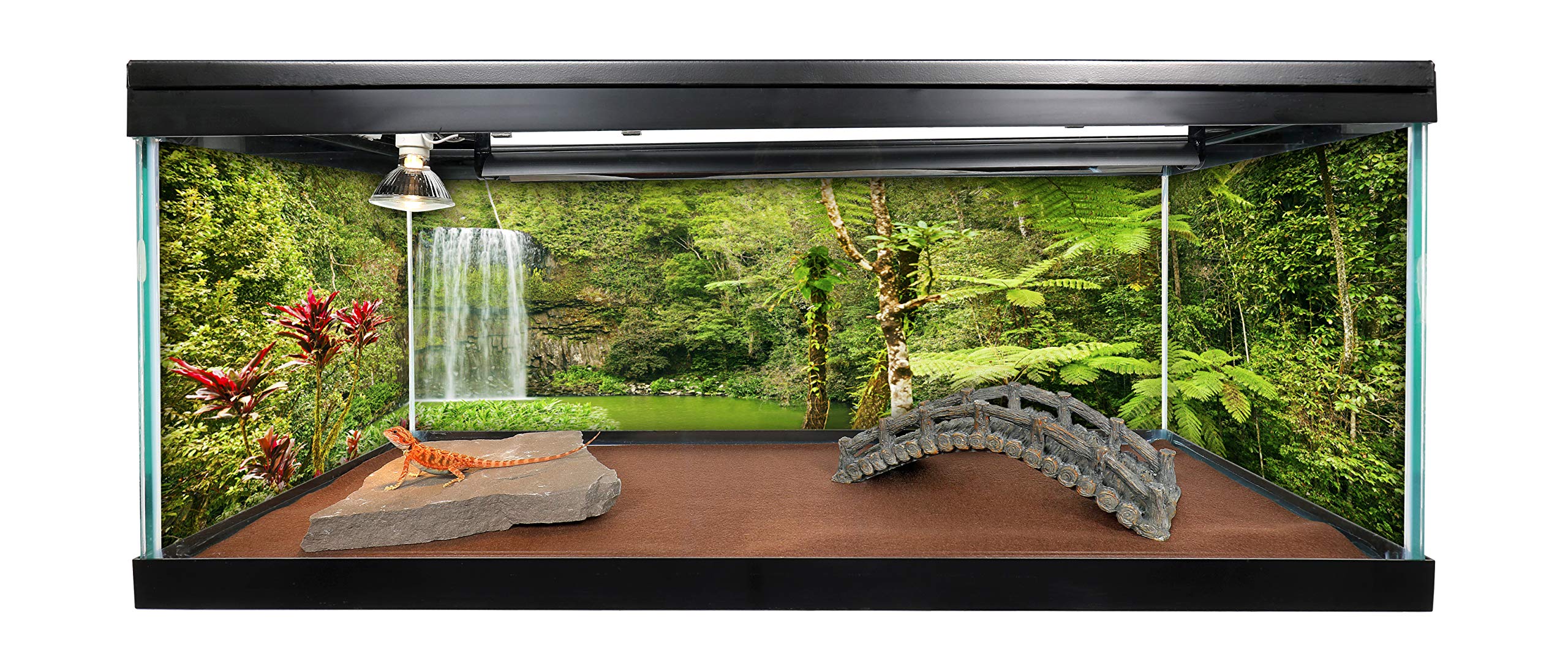 Reptile Habitat Background; Rain Forest, Waterfall, Red Leaves For 20L, 3-Sided Wraparound