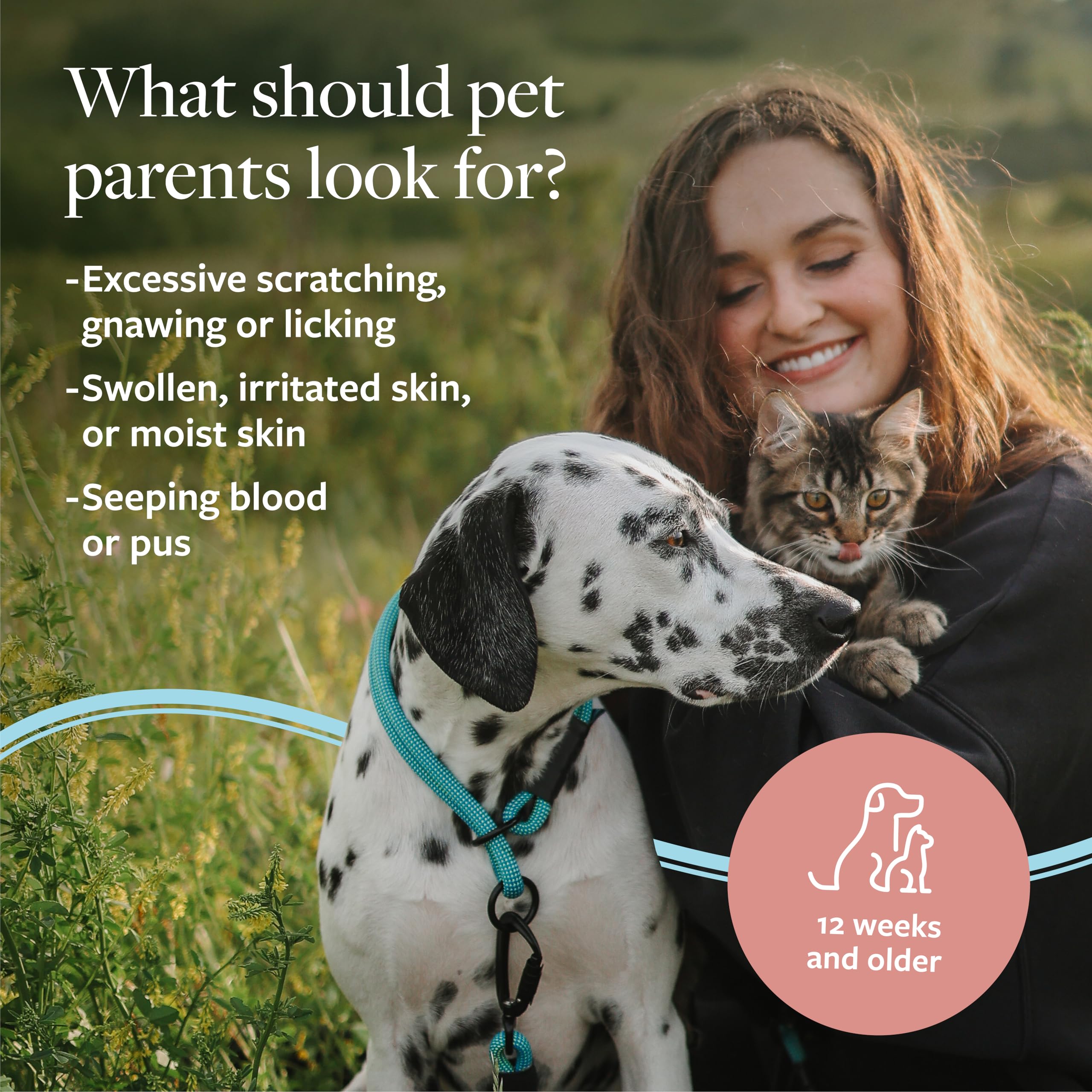 Veterinary Formula Medicated Shampoo for Dogs & Cats - Hot Spot & Itch Relief, 16 Fl Oz (Pack of 2)