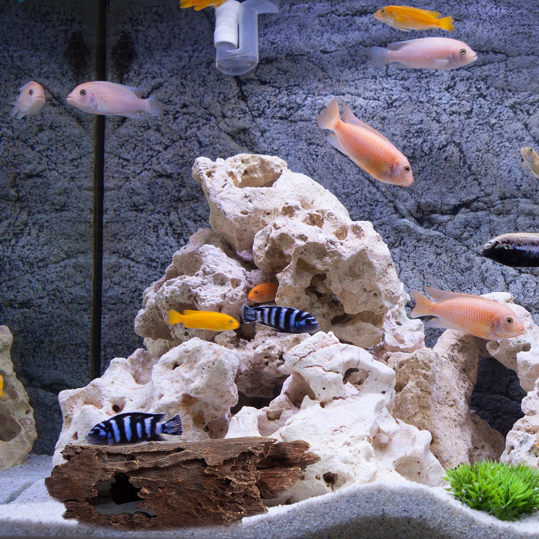 Lizard, Snake Or Reptile Hide. Xl Large 14' Hollow Log For Aquarium Or Fish Tank. Bearded Dragon Or Gecko Tank Accessories. Natural Looking Basking Platform, Shrimp Or Betta Fish Hideout