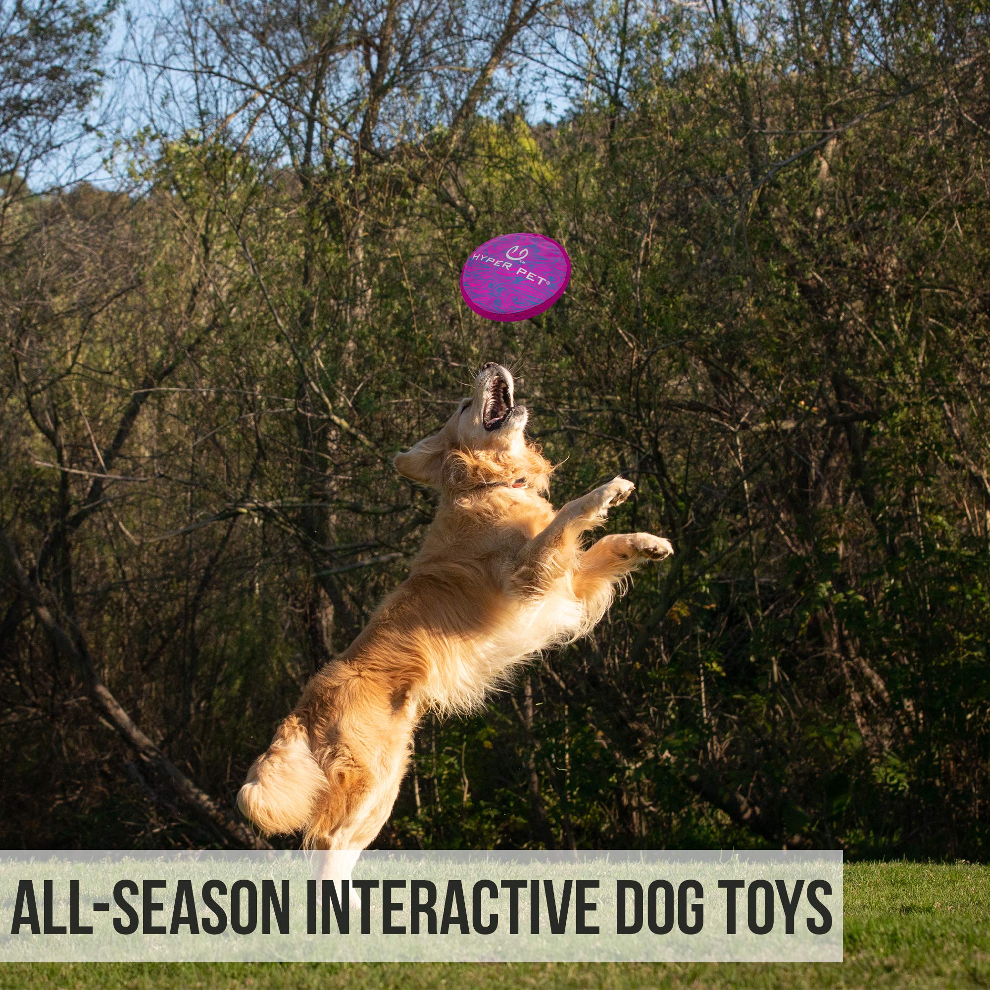 Hyper Pet Flippy Flopper 9 Flying Disc Soft Dog Toy, Floats in Water & Safe on Teeth, Pack of 1, Purple Swirl Design