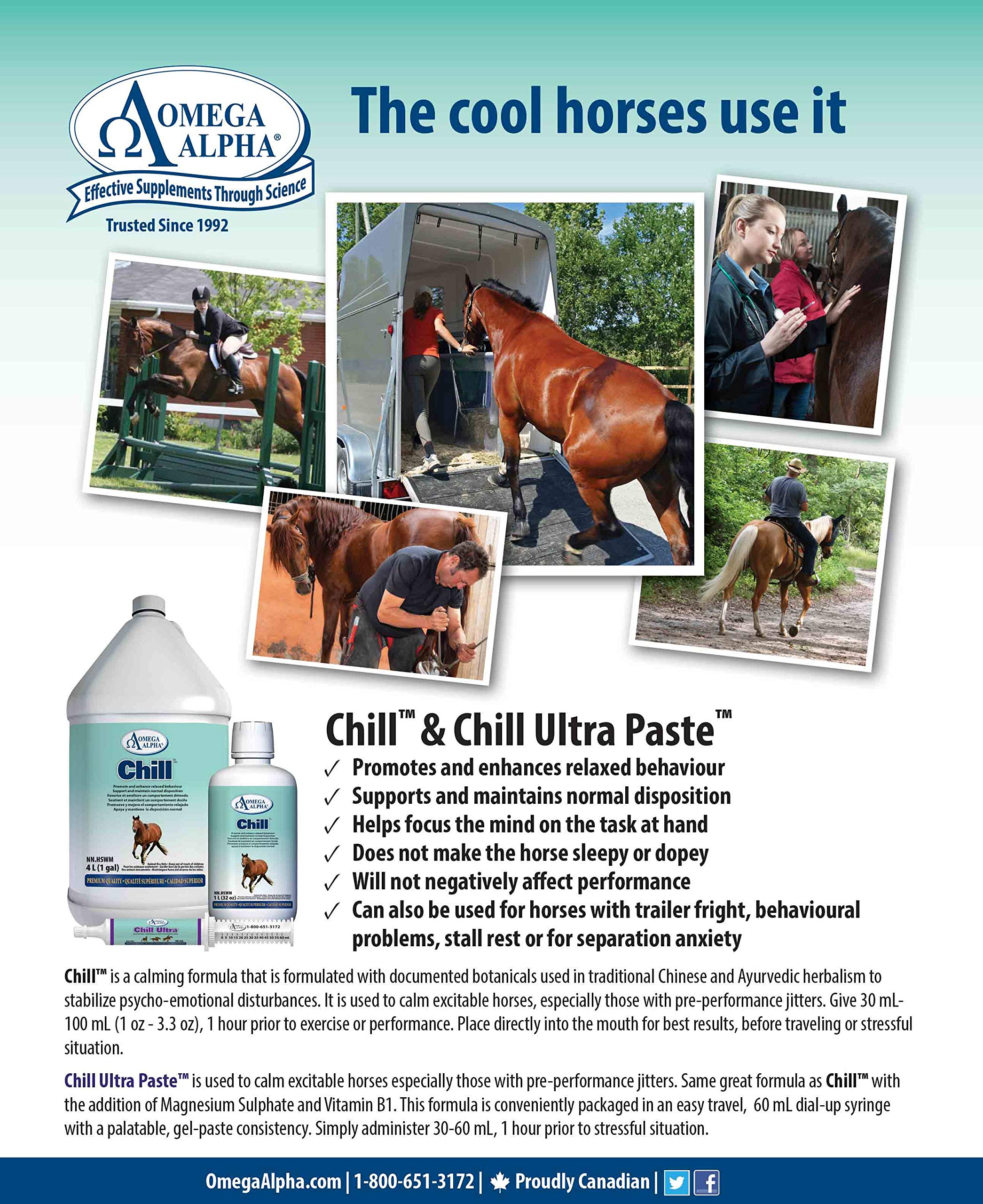 Chill Calming Formula For Horses - 32 Ounces (Quart)