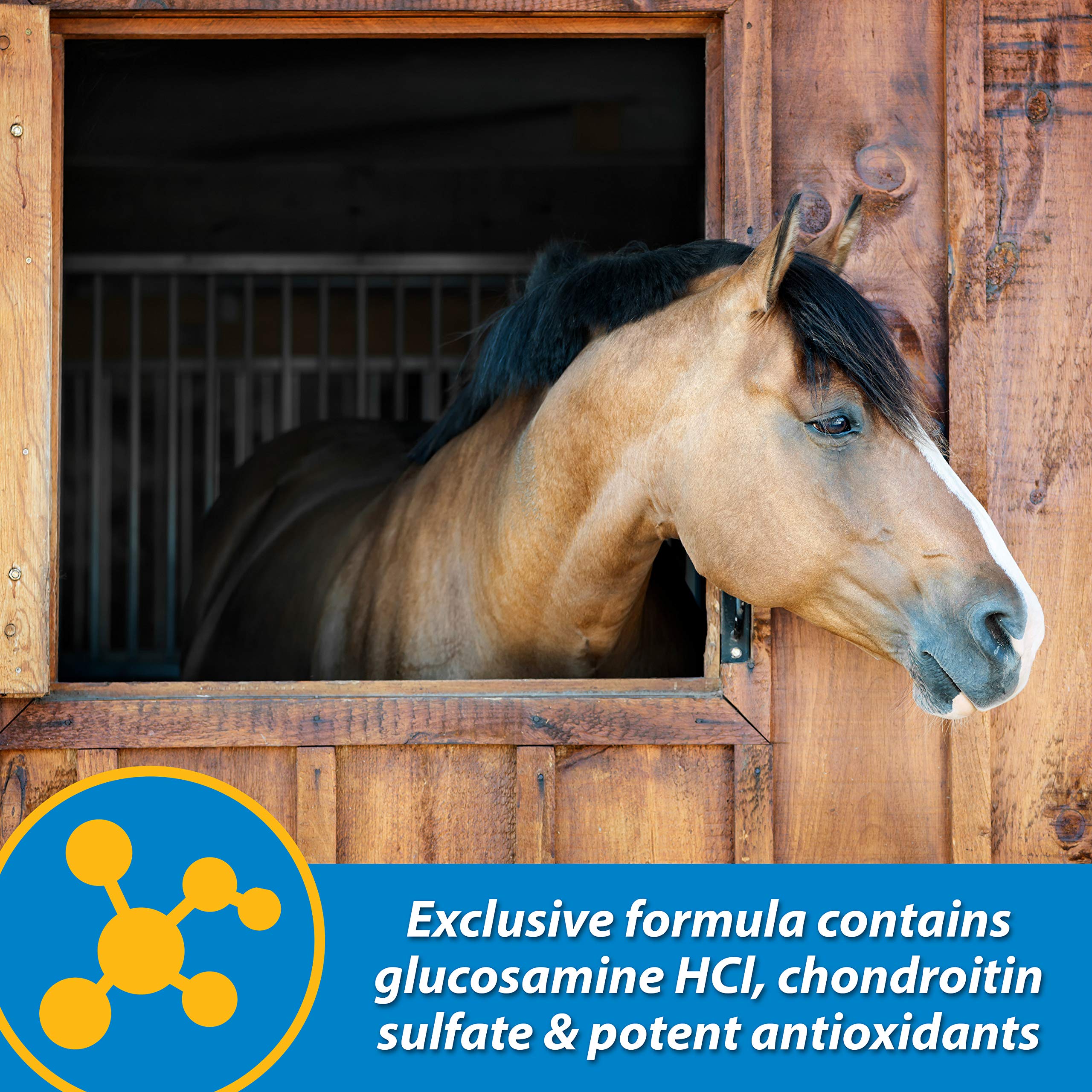 Farnam Fluidflex Liquid Joint Supplement for Horses, Helps Maintain Healthy Hip & Joint Function, 1 Gallon, 128 Ounces, 128 Day