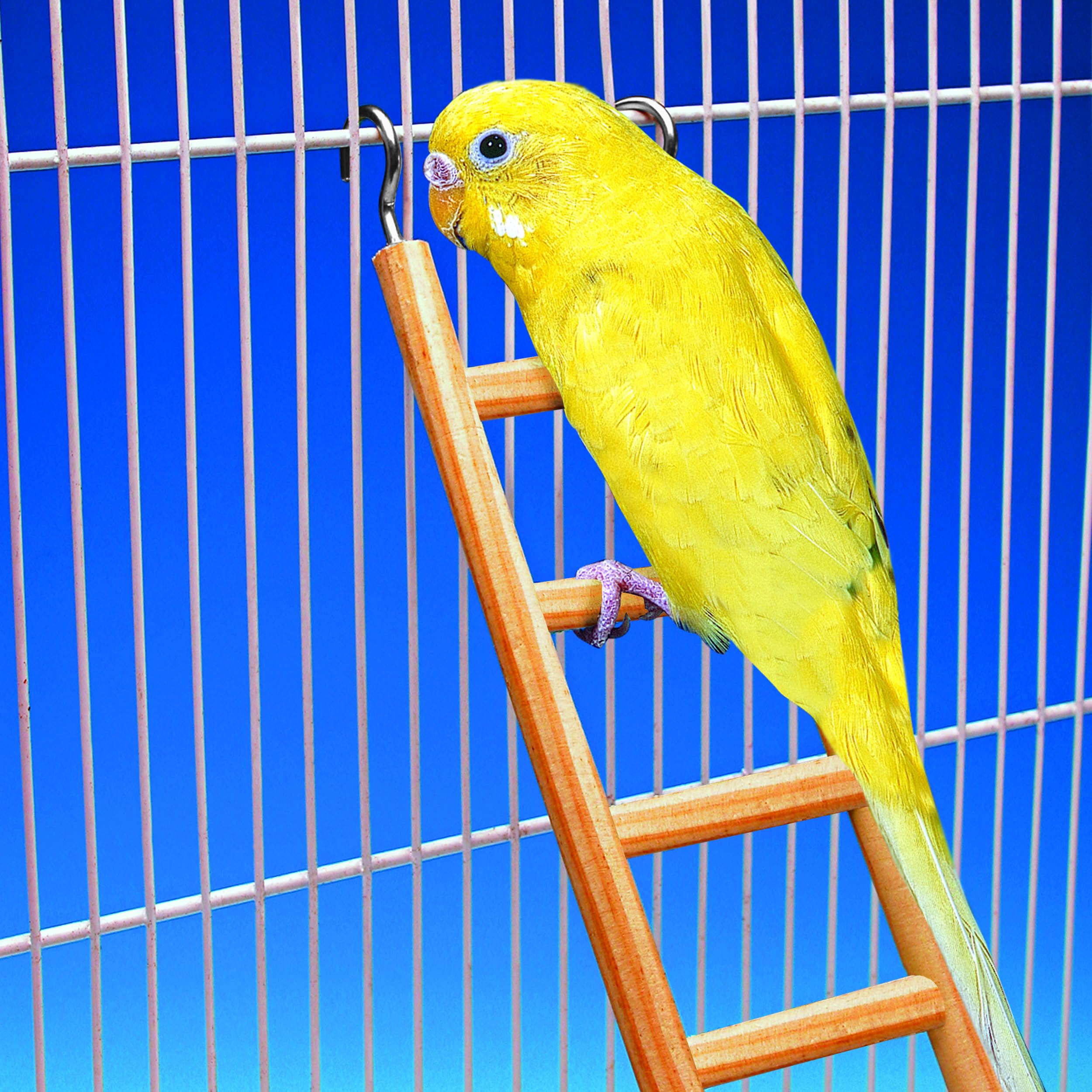 Penn-Plax 7-Step Wooden Bird Ladder | Provide Exercise And Entertainmet For Your Bird | Looks Great | Durable And Safe