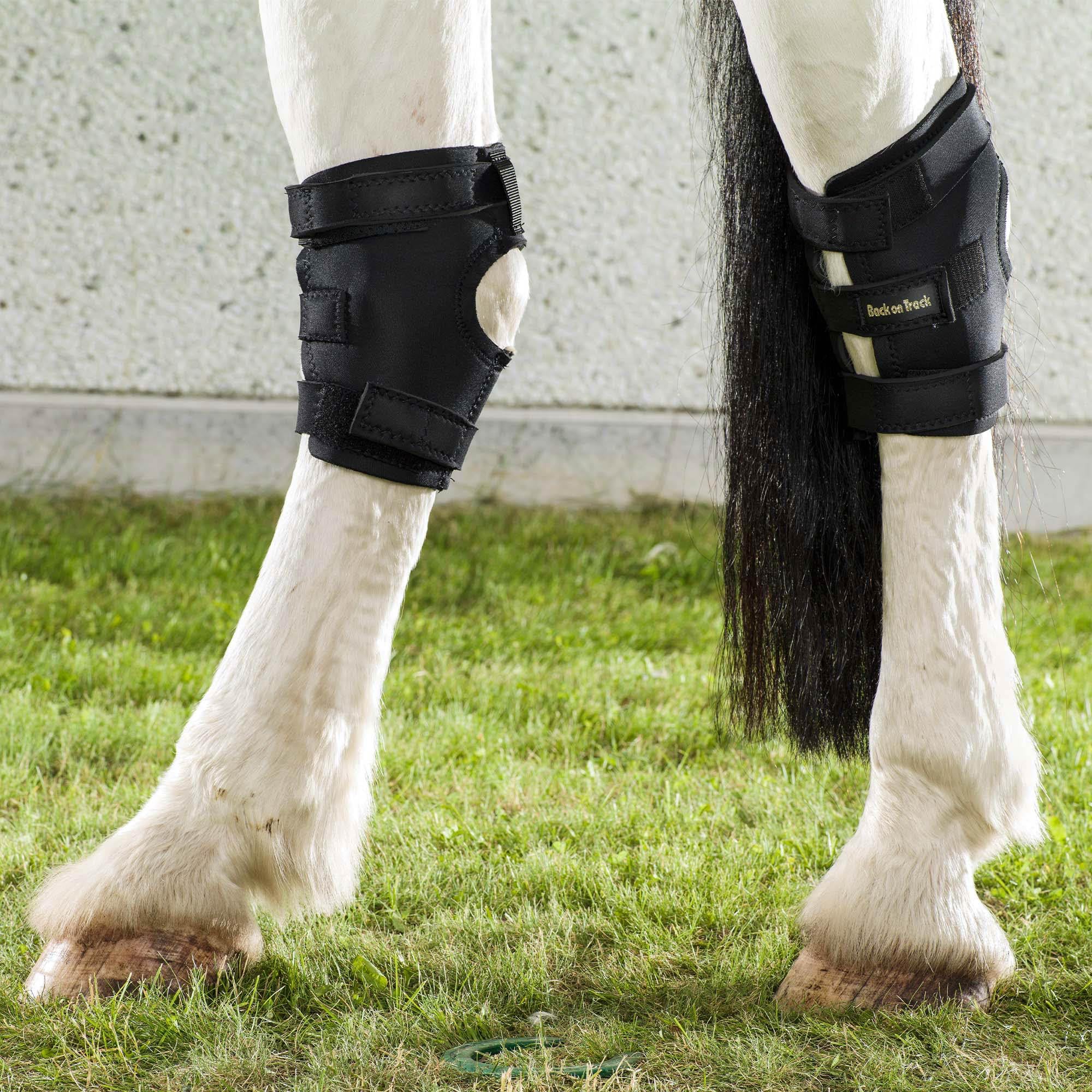 Back On Track Therapeutic Hock Boots (Pr) W/Holes Black - Xl (20270004)