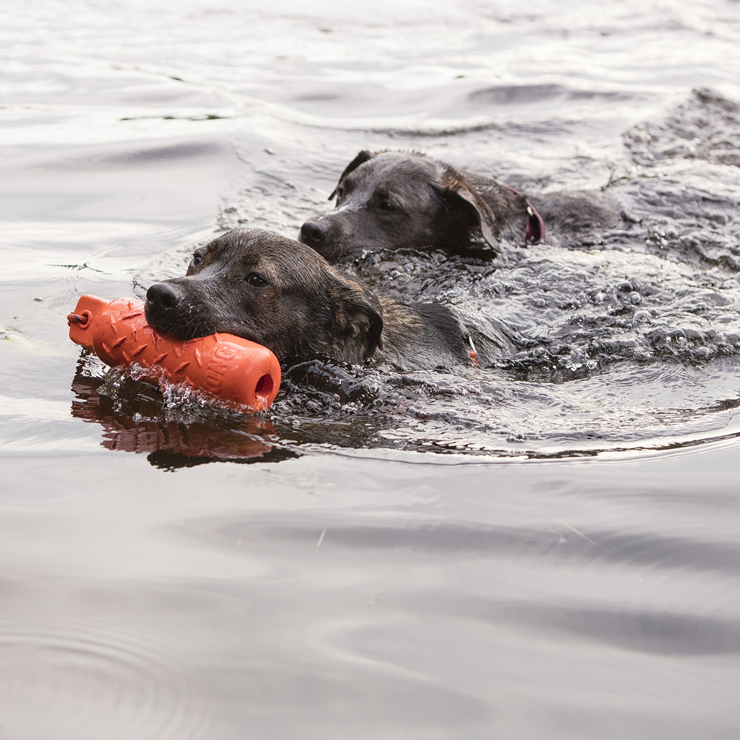 Kong - Aqua And Training Dummy - Floating Fetch Toy For Water Play And Training - For Large Dogs