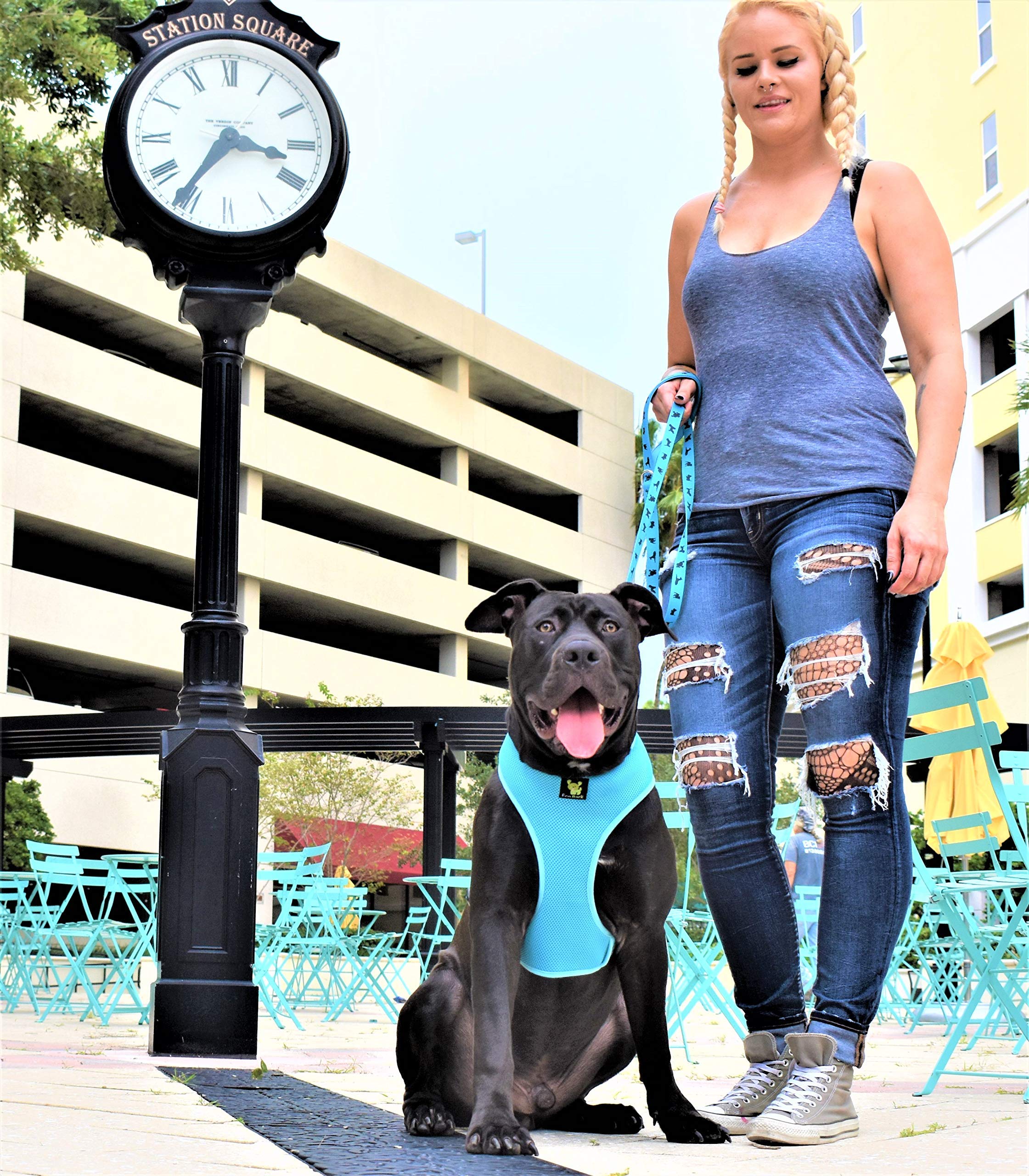 Classic Dog Harness Innovative Mesh No Pull No Choke Design Soft Double Padded Breathable Vest For Eco-Friendly Easy Control Wal