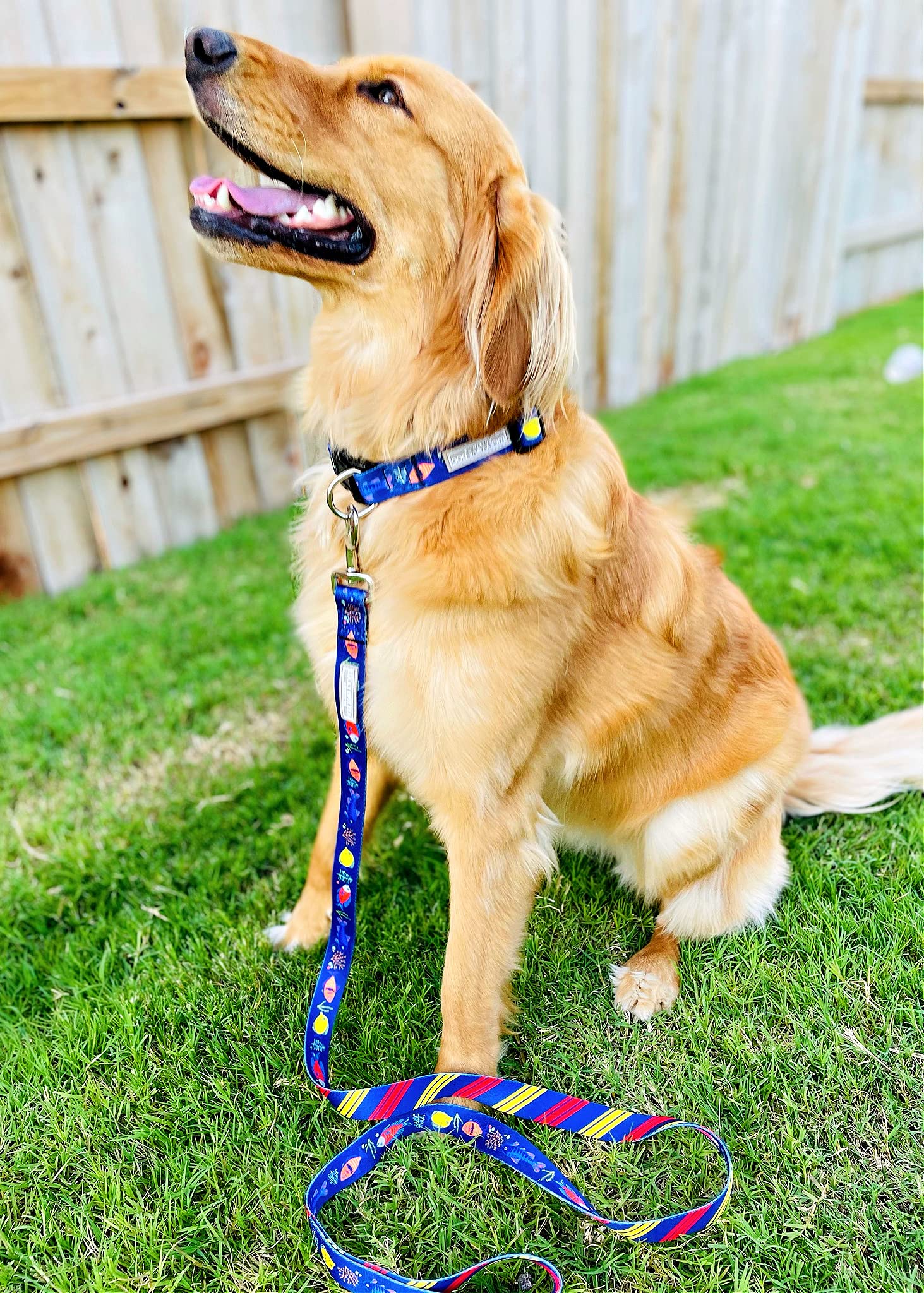 Lucky Love Dog - Easy Click Buckle Dog Collar With Leash Set Combo, Durable & Comfortable For Male & Female Dogs, Pet Collar For