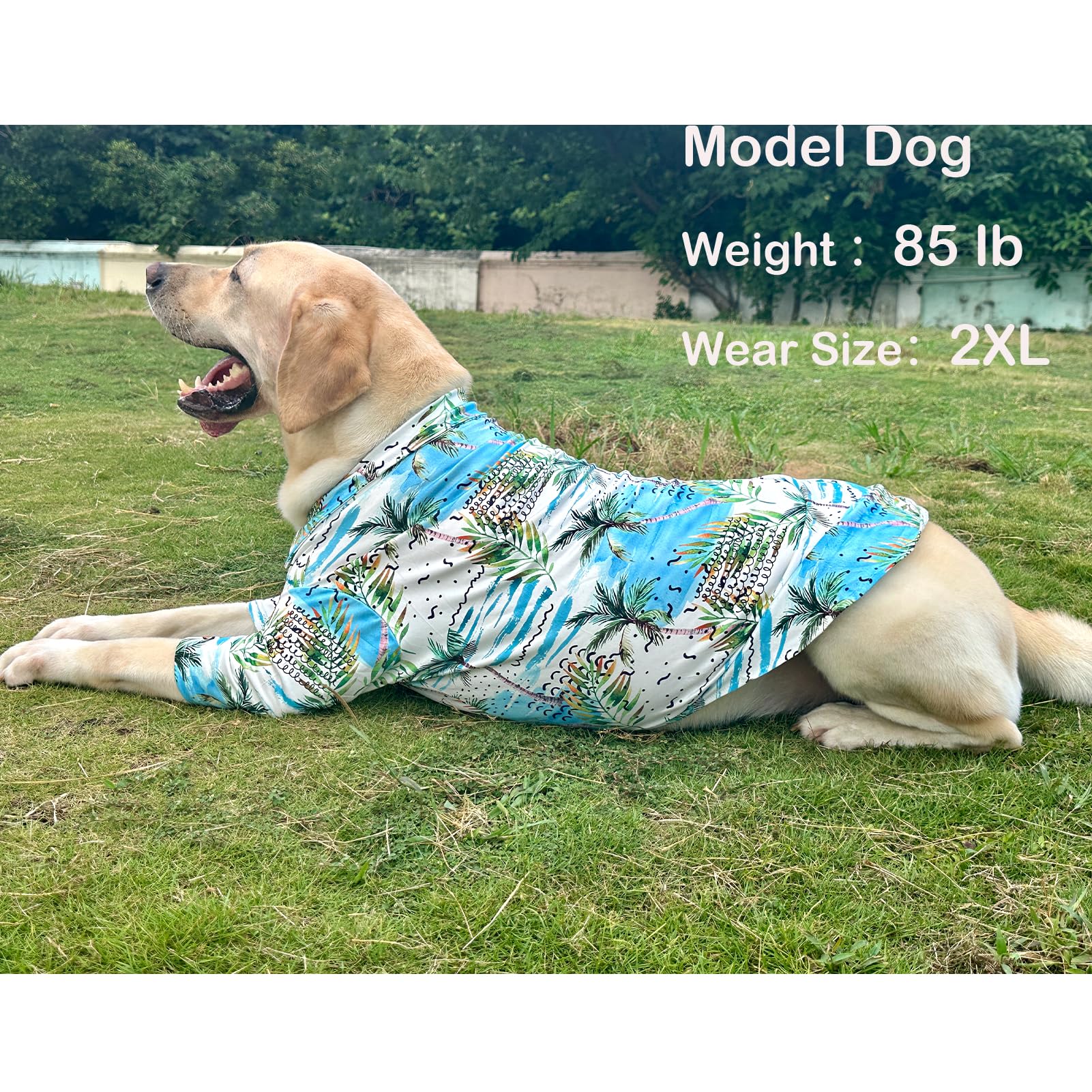 Pripre Dog Hawaii Shirt Seabeach Prints Polo T-Shirts Breathable Cool Beach Style Summer Dog Clothes For Large Dog Boys And Girl
