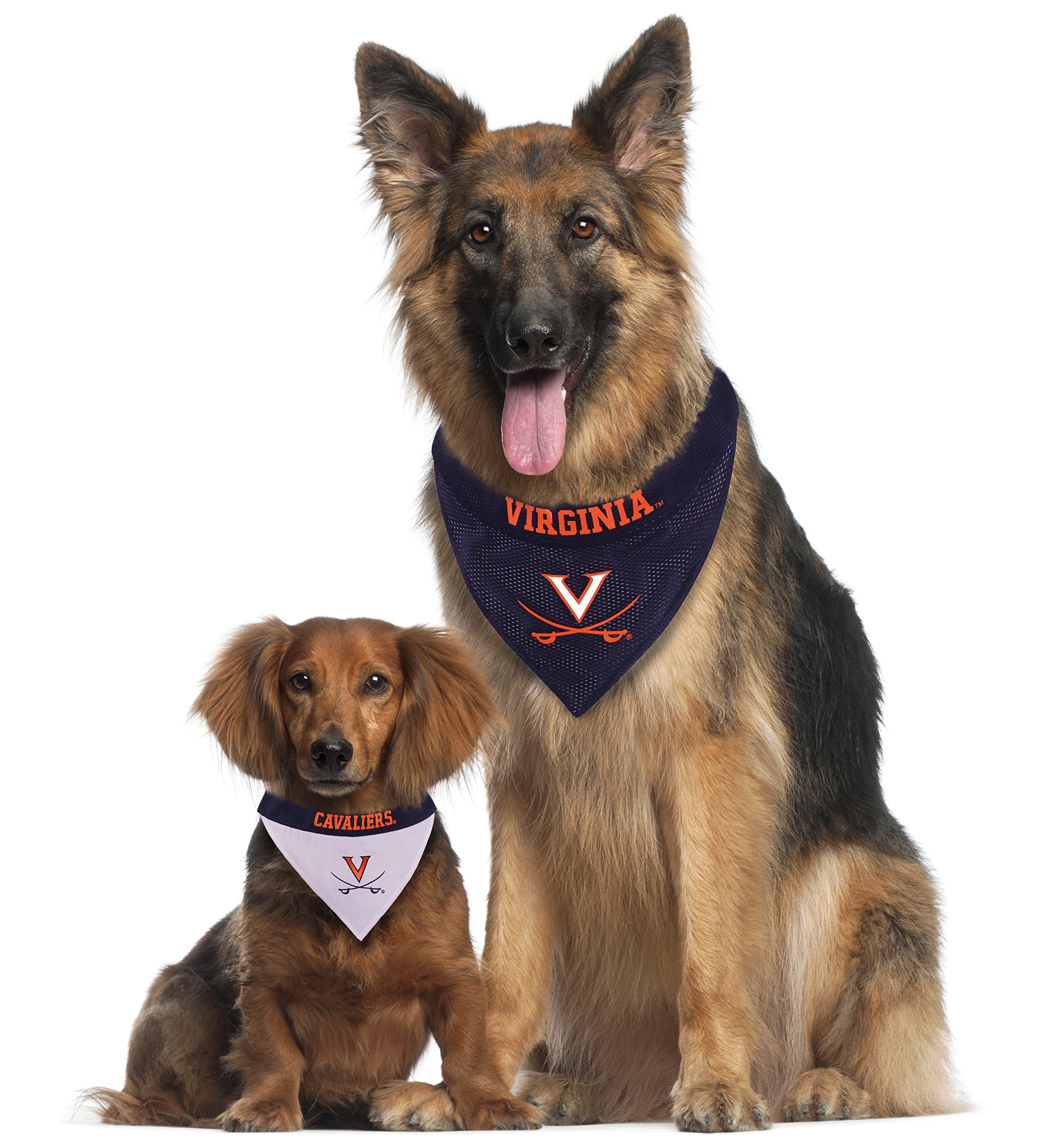 Pets First Collegiate Pet Accessories, Reversible Bandana, Virginia Cavaliers, Large/X-Large