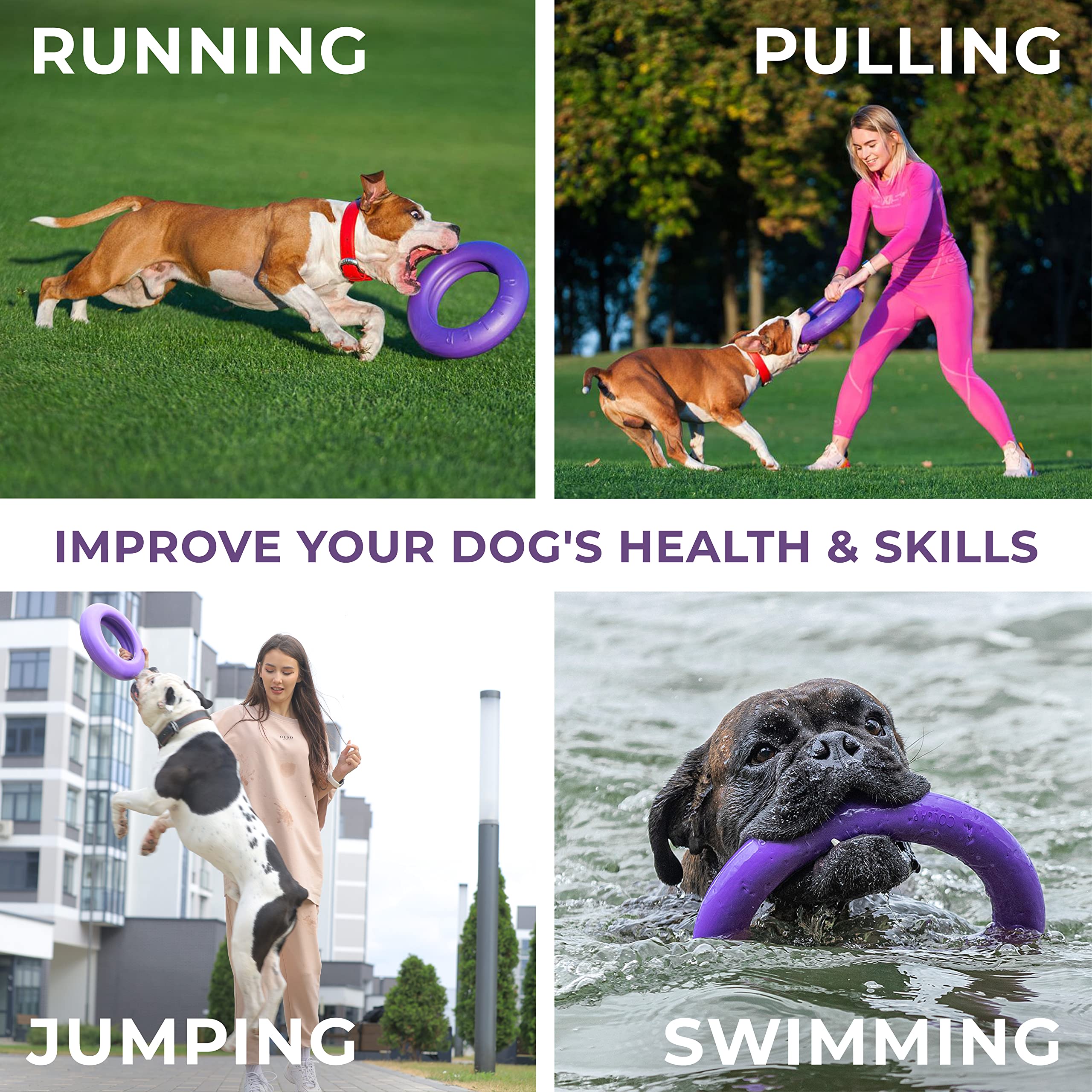 COLLAR Puller Outdoor Ring Toy - Fetch & Tug of War for Small Medium Large Dogs - Ball & Soft Frisbee Alt - Outside Yard Toys -