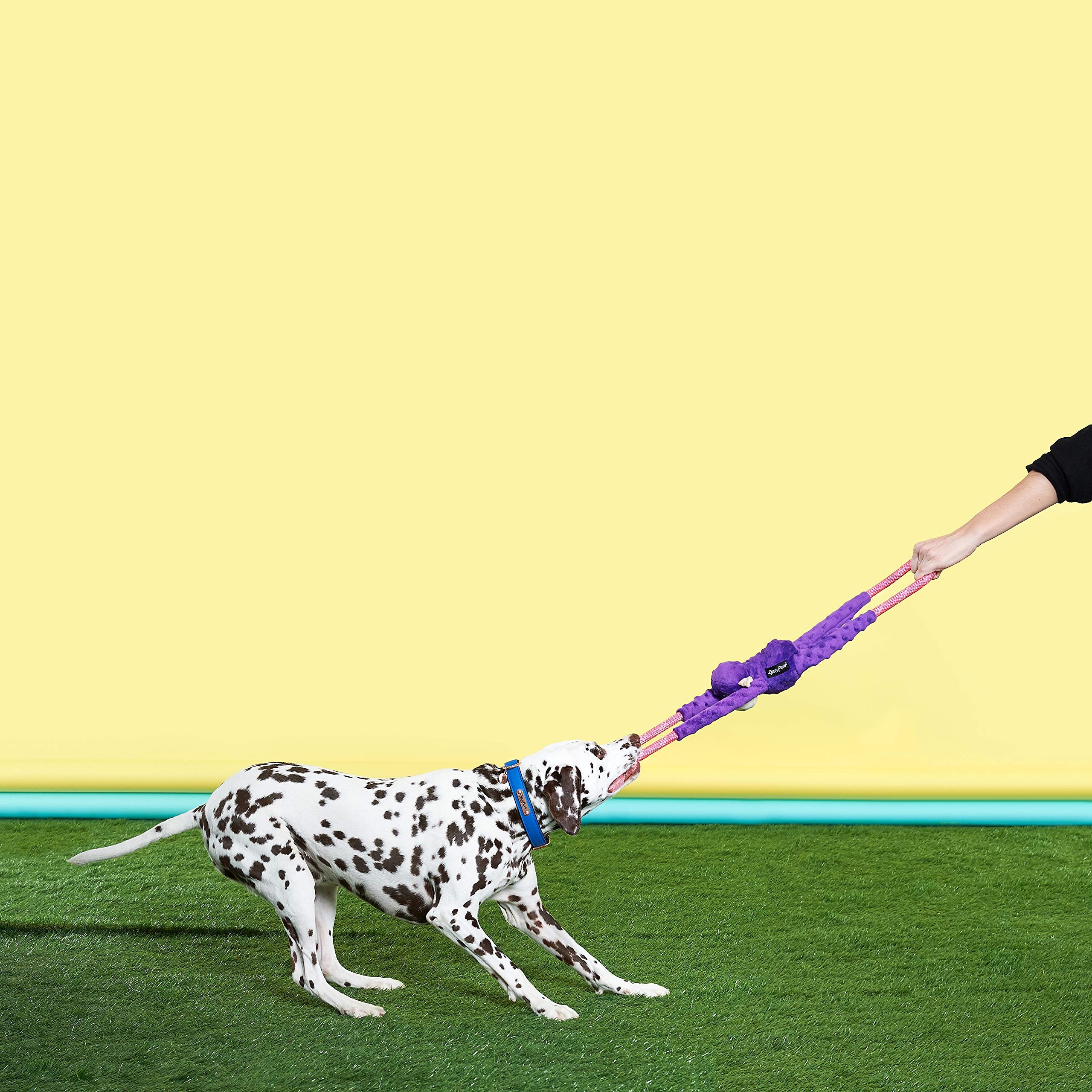 Zippypaws - Ropetugz, Squeaky And Plush Rope Tug Dog Toy - Monkey, Purple