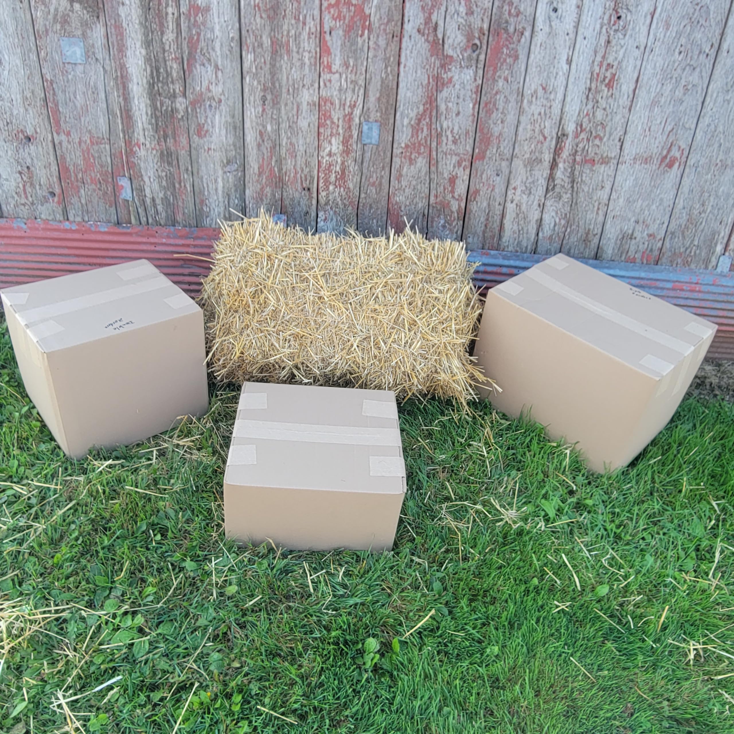 Feral Cat Bedding - Loose Wheat Straw, 5 Lbs - Clean, Natural