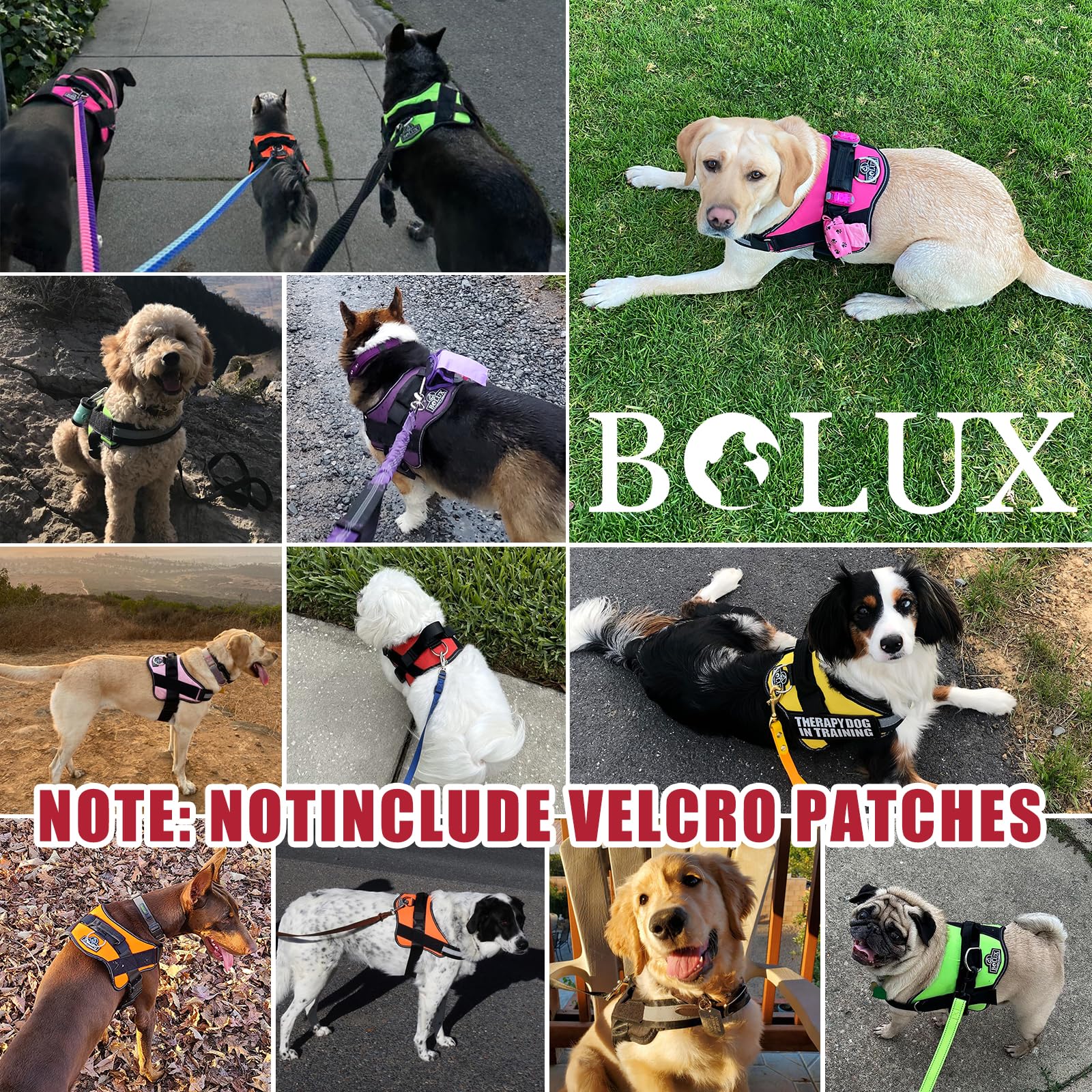 Bolux Dog Harness, No-Pull Reflective Dog Vest, Breathable Adjustable Pet Harness With Handle For Outdoor Walking - No More Pulling, Tugging Or Choking (Flag, Large)