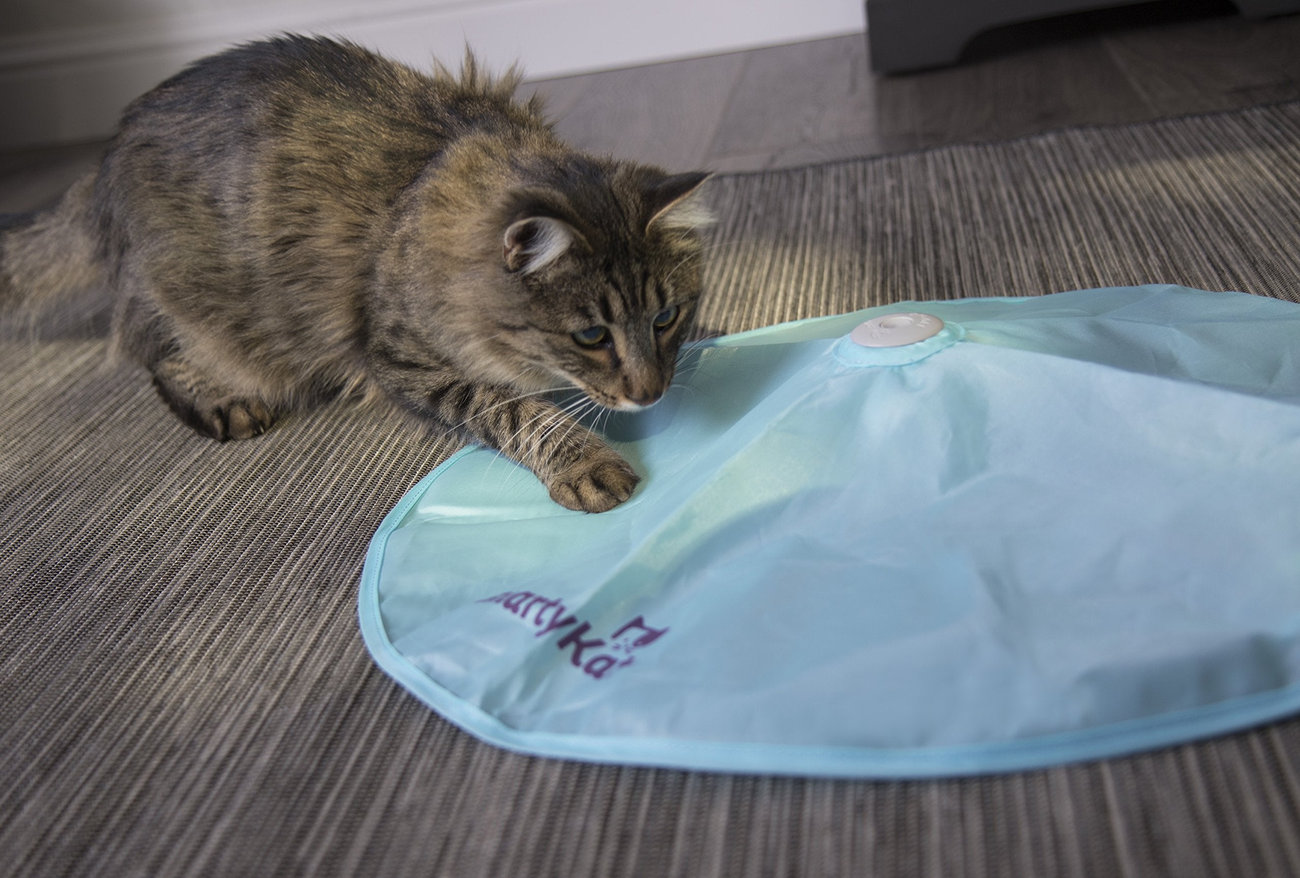 Smartykat Hot Pursuit Electronic Concealed Motion Cat Toy, Battery Powered - Blue, One Size