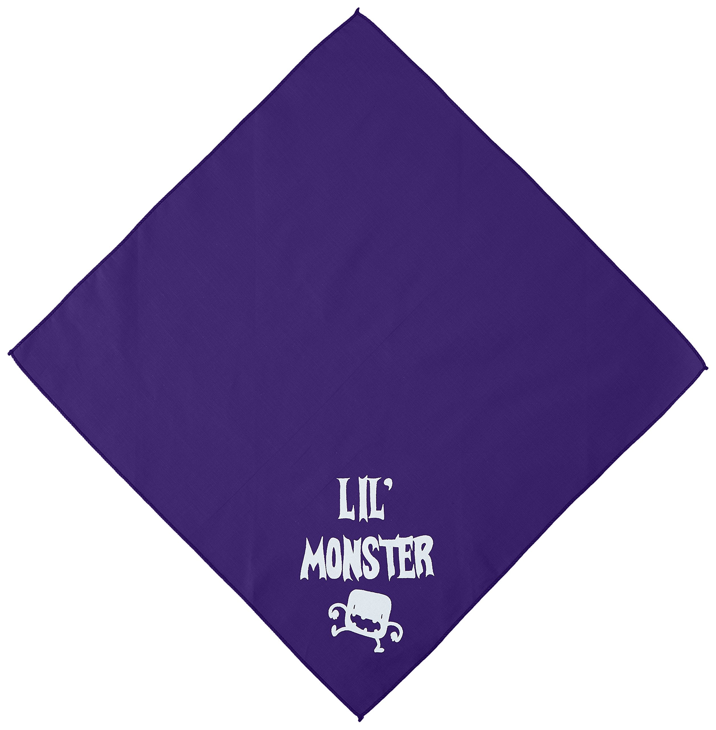 Halloween Pet and Dog Bandana Screen Printed, Lil Monster Purple Small