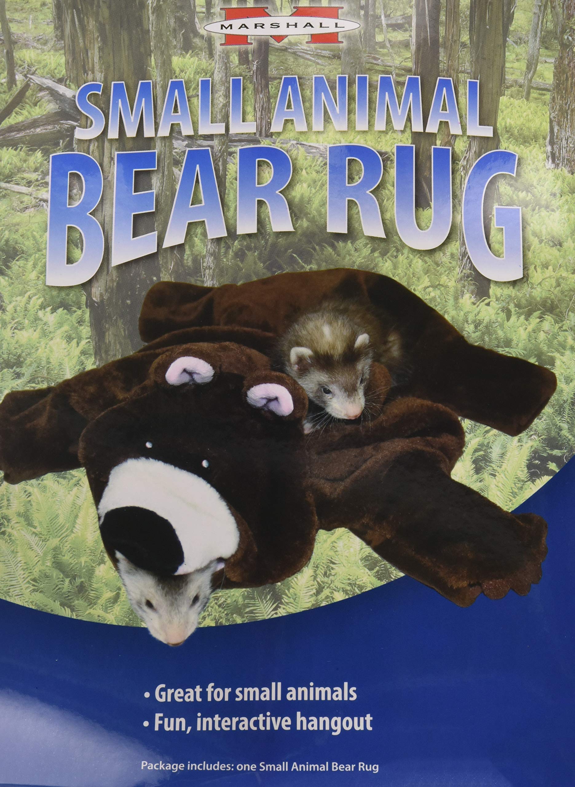 Marshall Small Animal Bear Rug