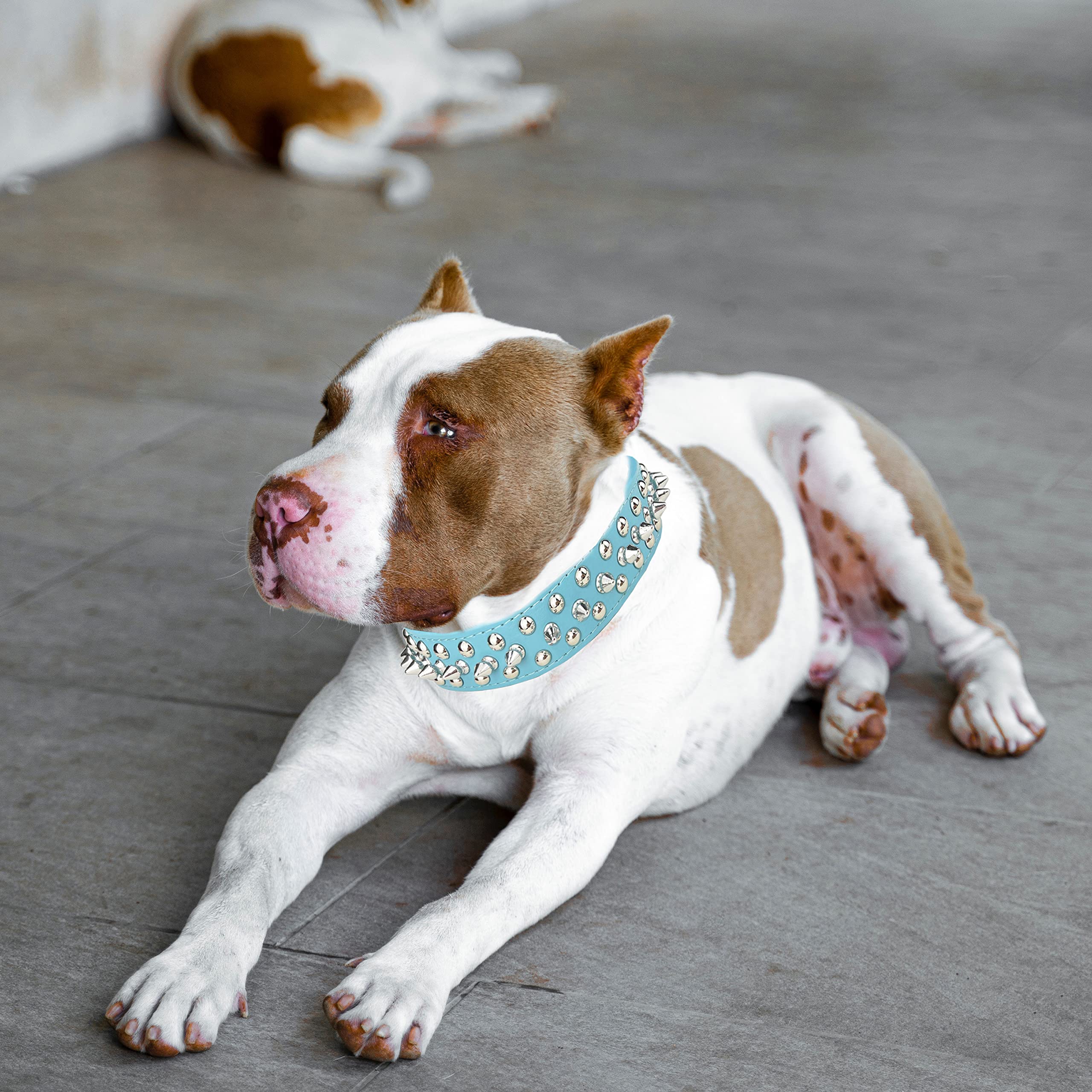 Teemerryca Adjustable Microfiber Leather Spiked Studded Dog Collars With A Squeak Ball Gift For Small Medium Large Pets Like Cat