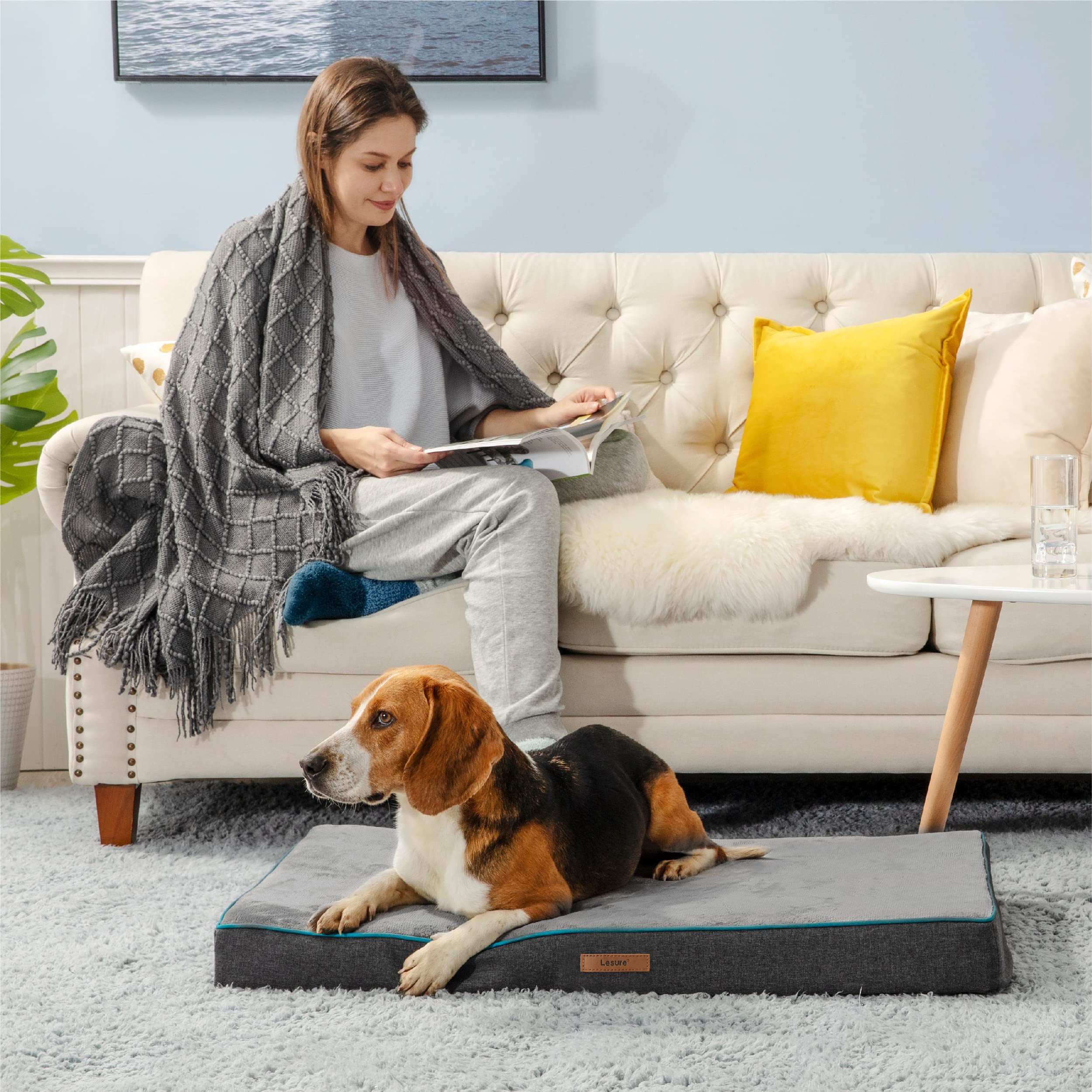 Lesure Dog Bed Cover Flannel Extra Large Washable Plush Fleece Replacement Cover For Orthopedic Pet Mat 41X29X3.5 Inches, Grey