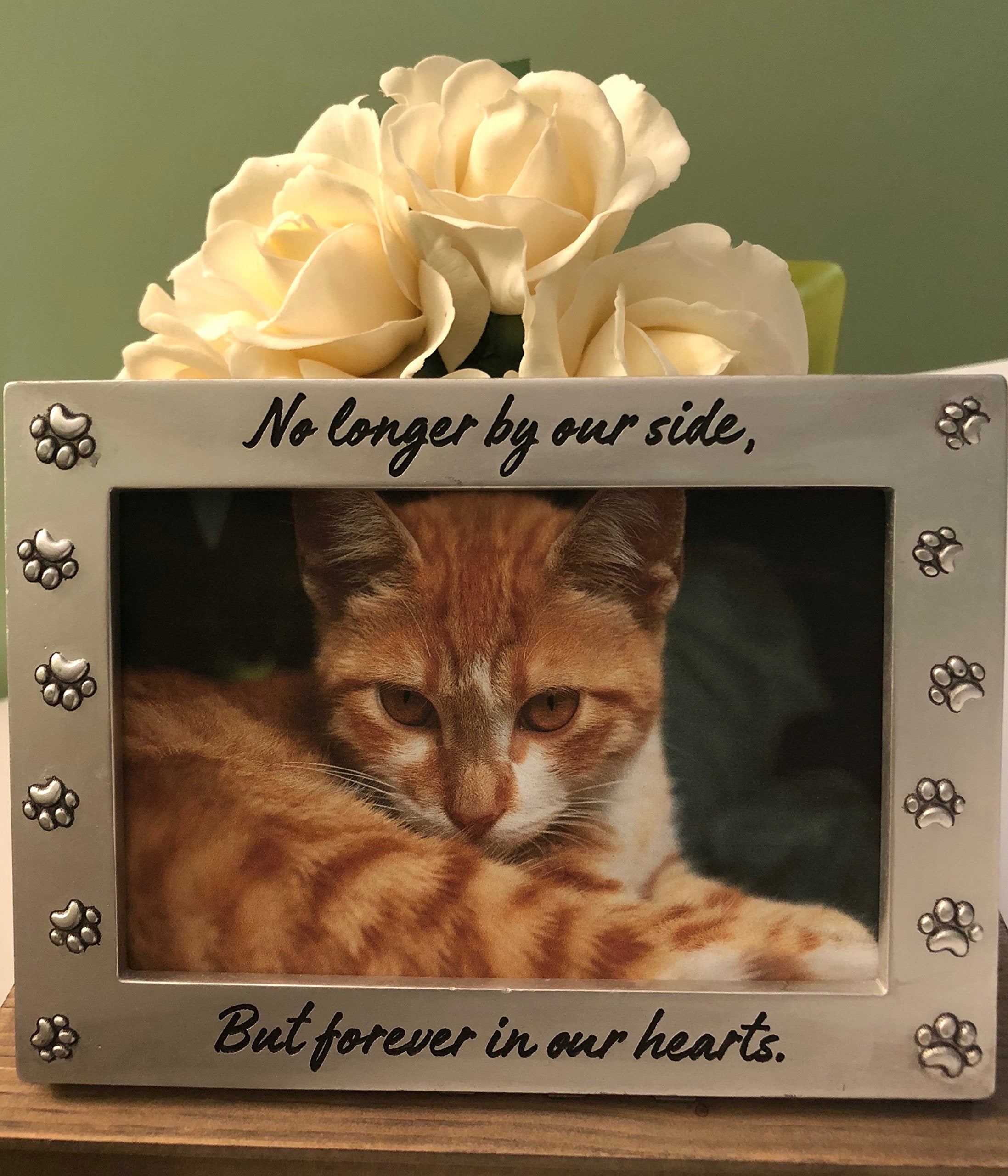 Pet Memorial Picture Frame Keepsake For Dog Or Cat, Perfect Loss Of Pet Gift For Remembrance And Healing