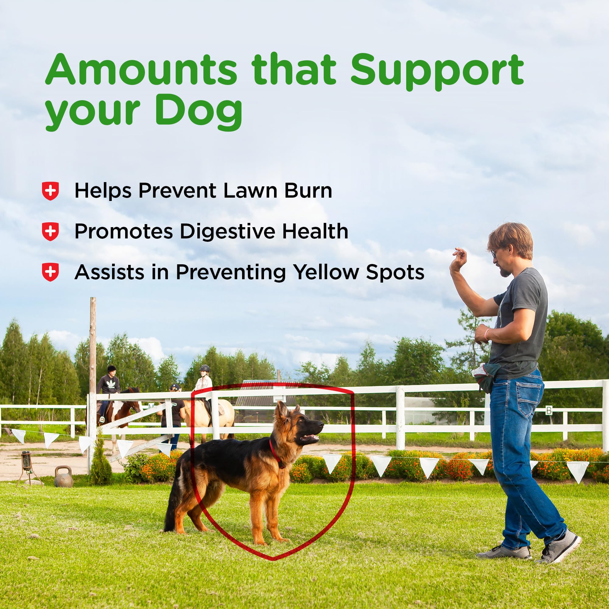 Nutri-Vet grass guard chewables For Dogs - Prevent Lawn Burn From Dog Urine - 365 count