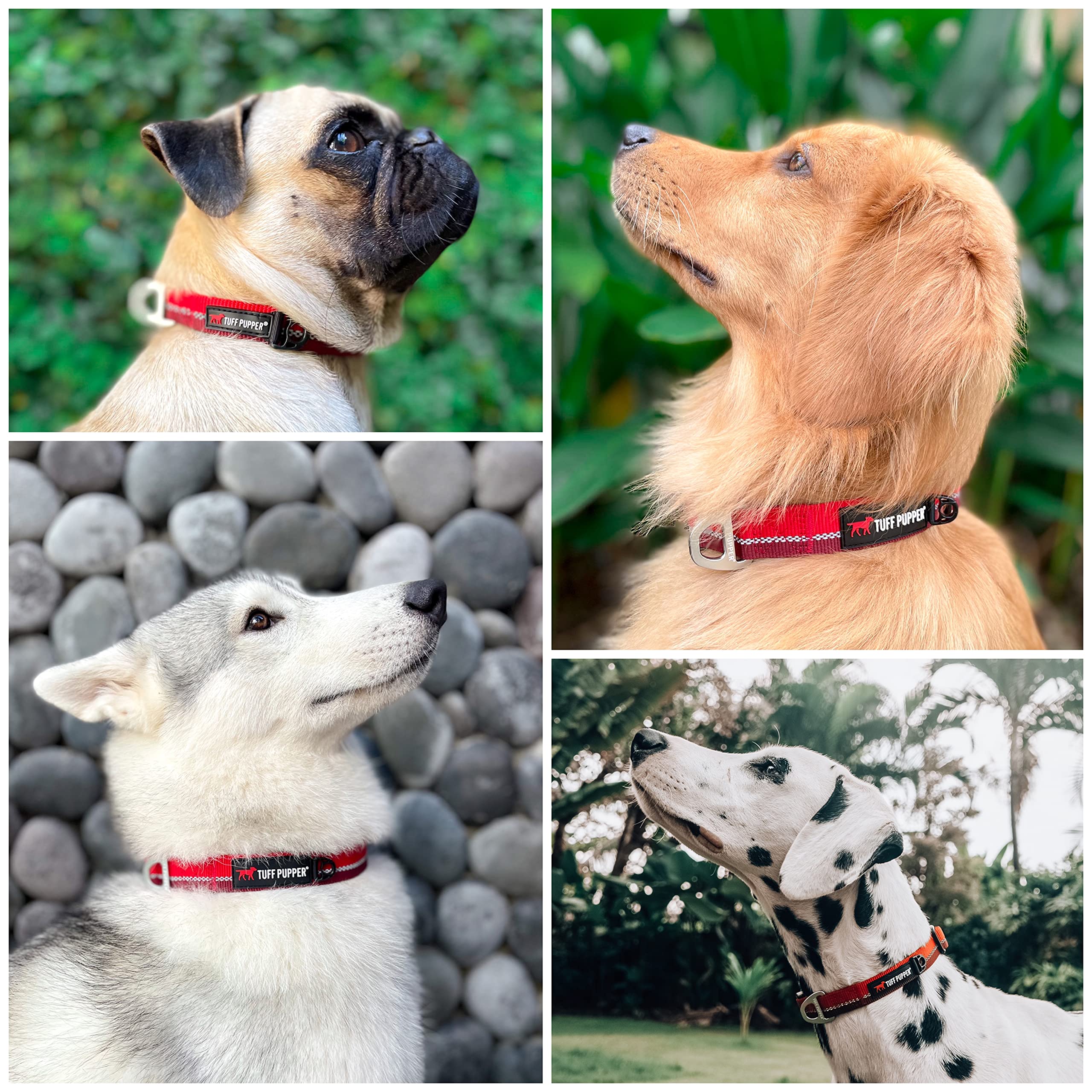 Tuff Pupper Heavy Duty Dog Collar | Reflective With Aluminum D-Ring Leash Clip | Separate Dog Id Tag Attachment | Easy Sizing Fo